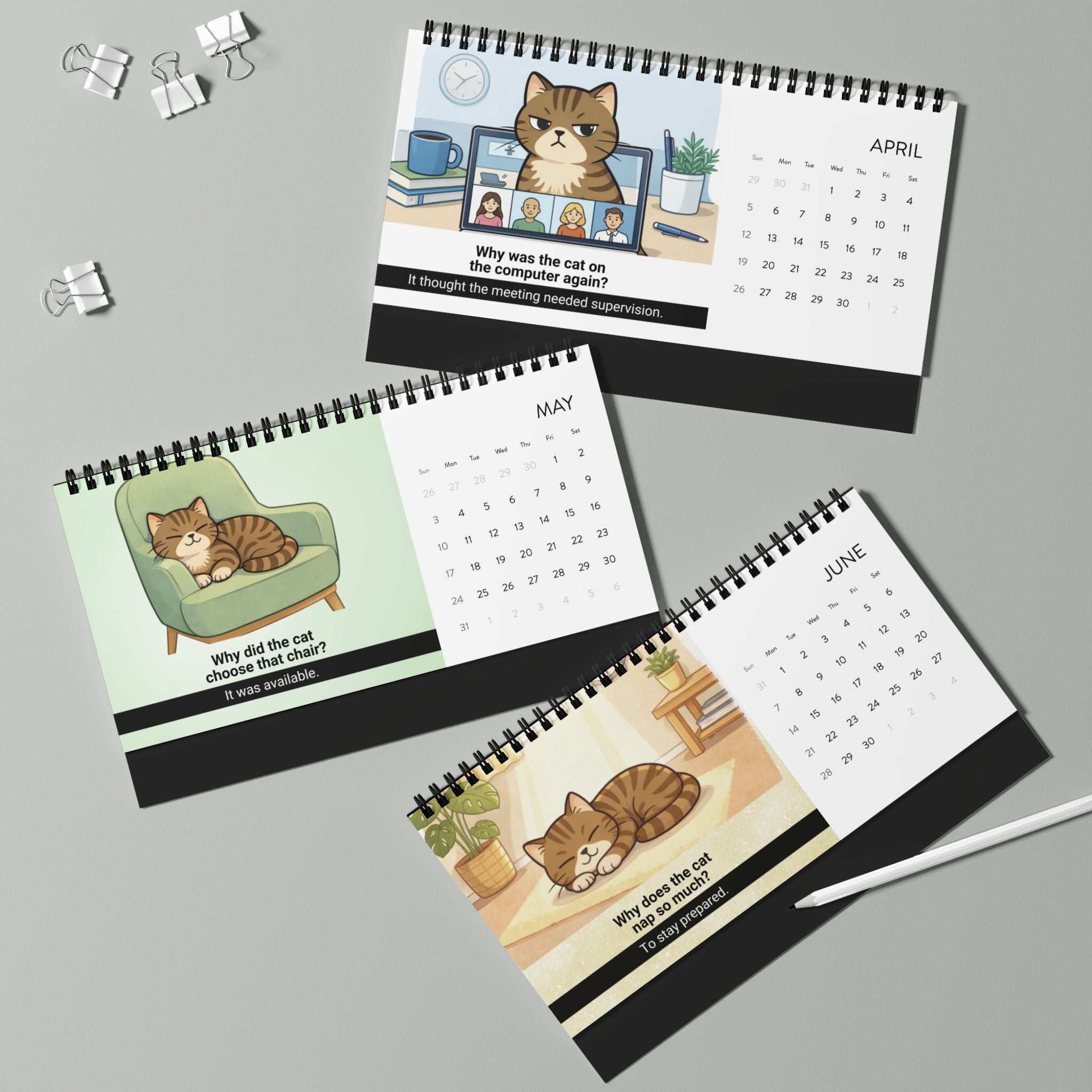 Cat Logic: Monthly Observations from a Higher Surface – 2026 Desk Calendar