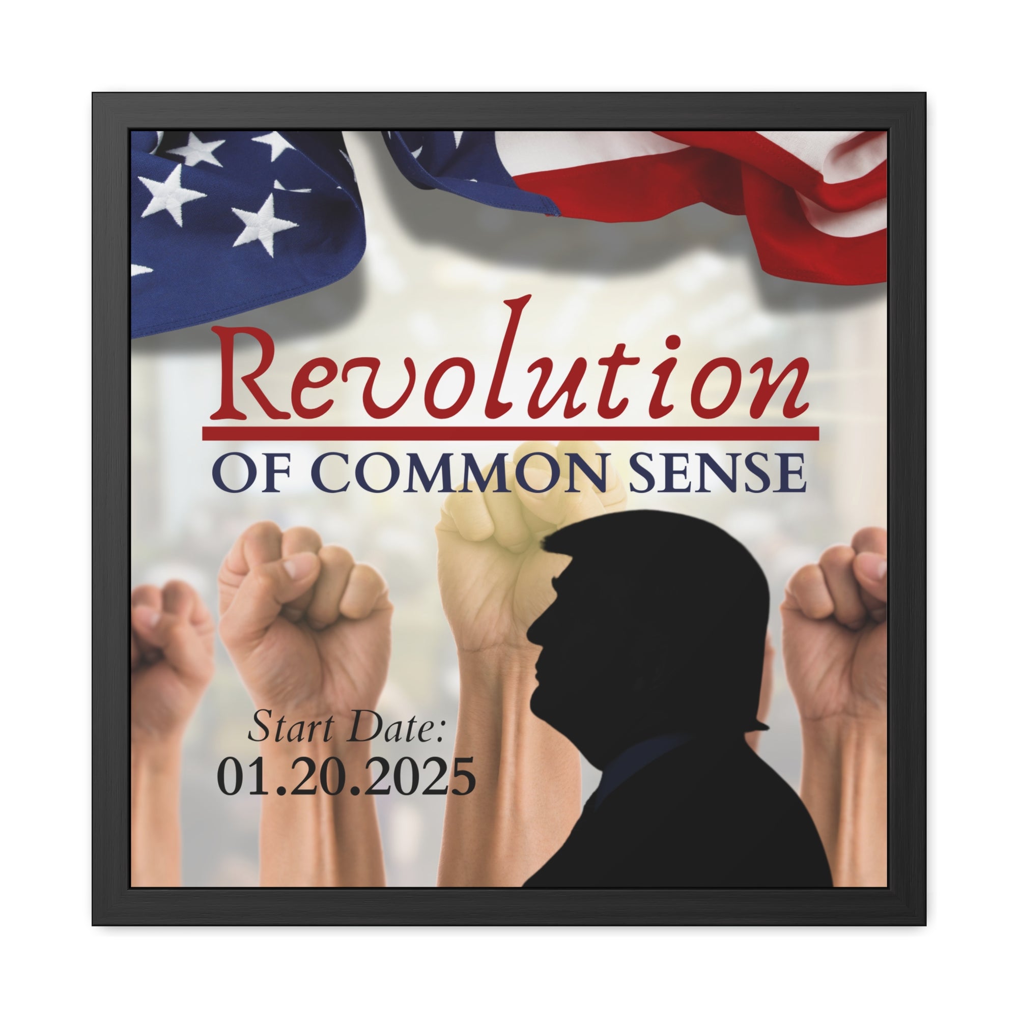 Trump Revolution of Common Sense Framed Posters
