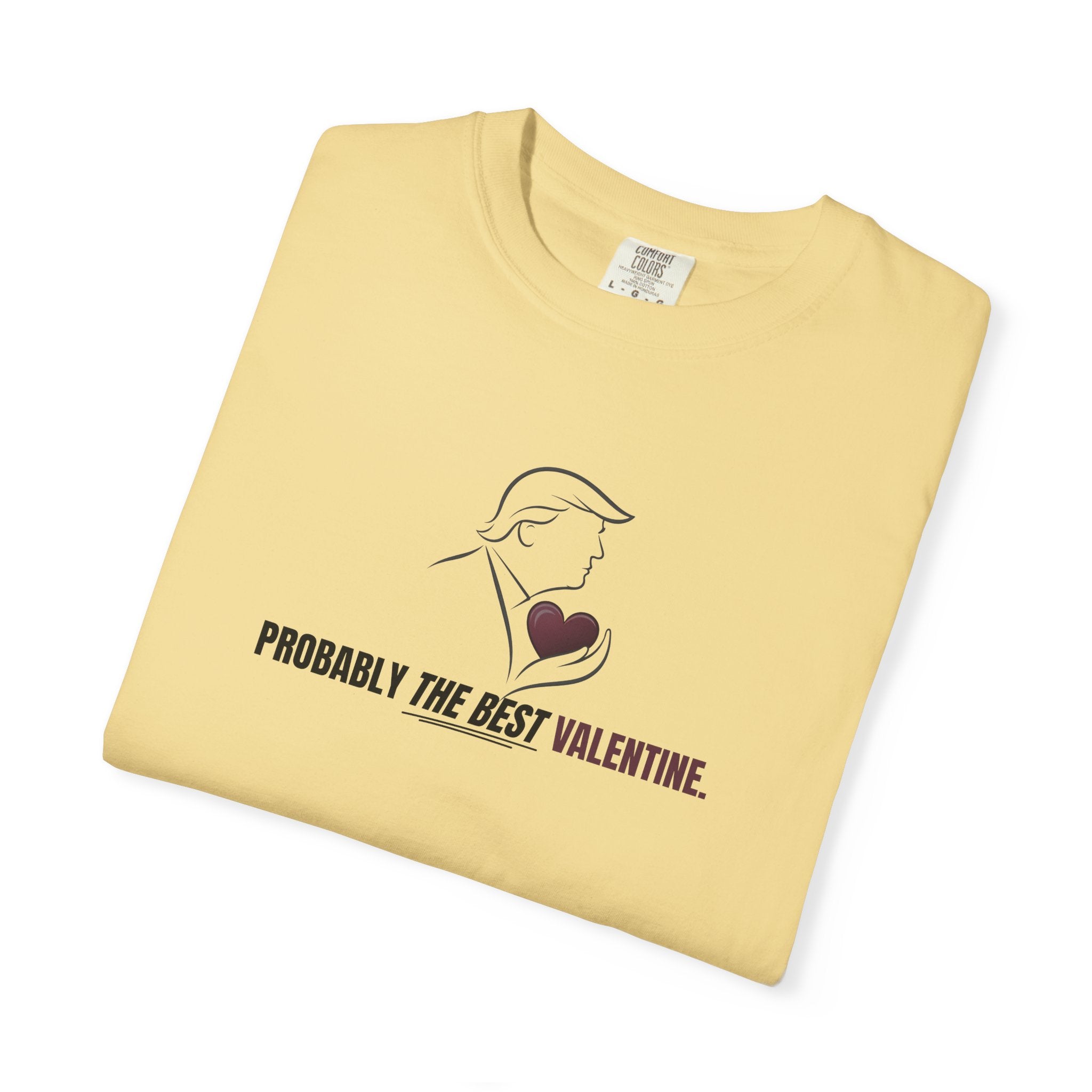 Probably the Best Valentine T-Shirt | Political Parody Valentine Tee