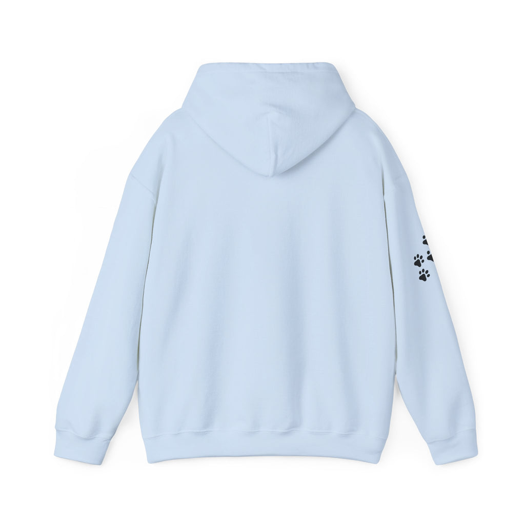 Cozy Stick Cat Lover Hoodie
