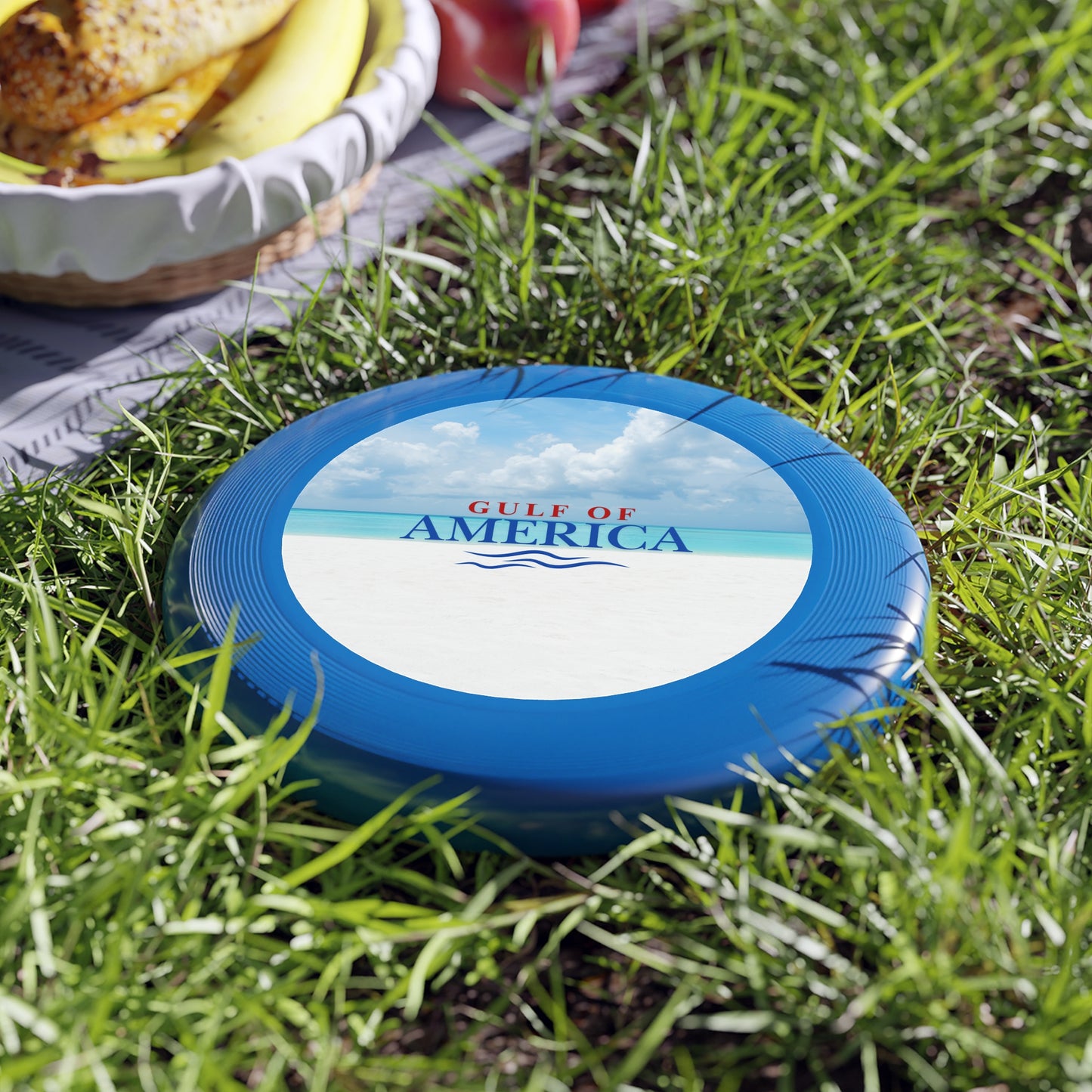 Gulf of America Frisbee