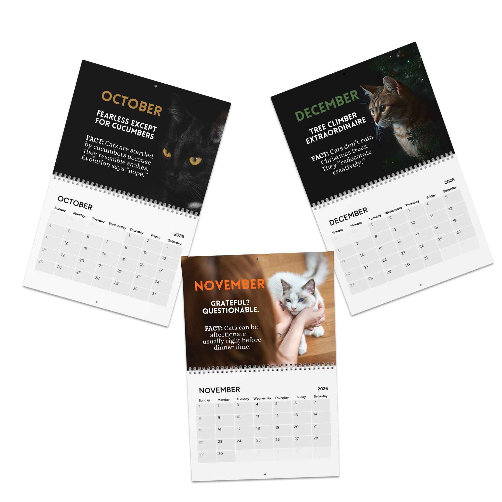 Twelve Months of Cat Chaos 2026 Calendar