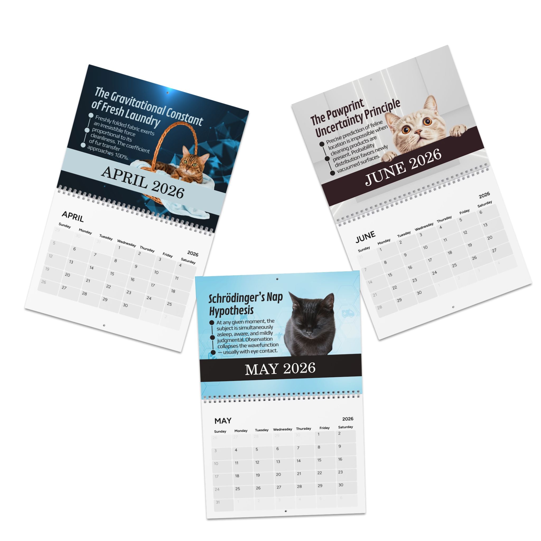 Paws & Effect: The Science of Cat Logic 2026 Calendar