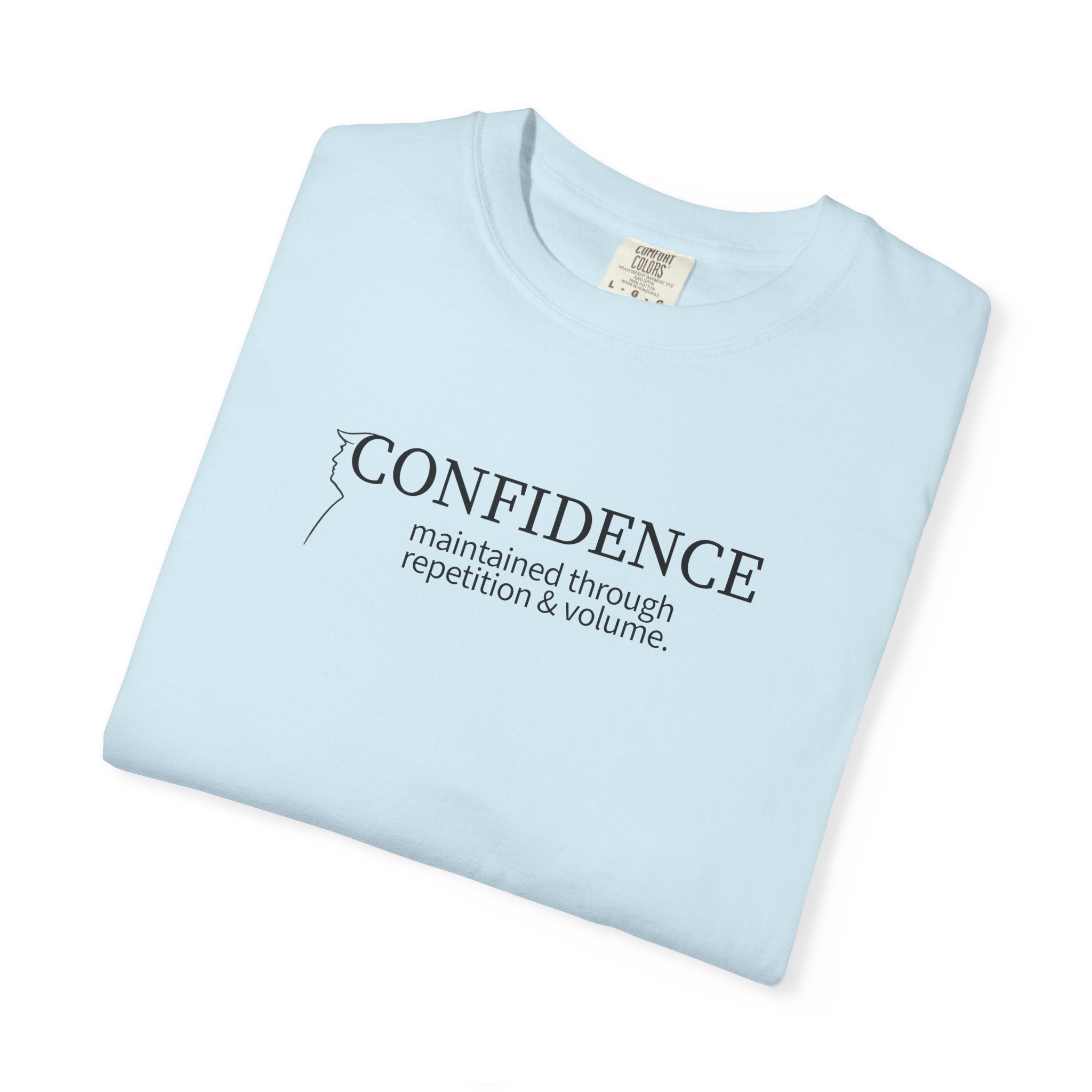 Confidence Maintained T-Shirt – Minimalist Typography Edition
