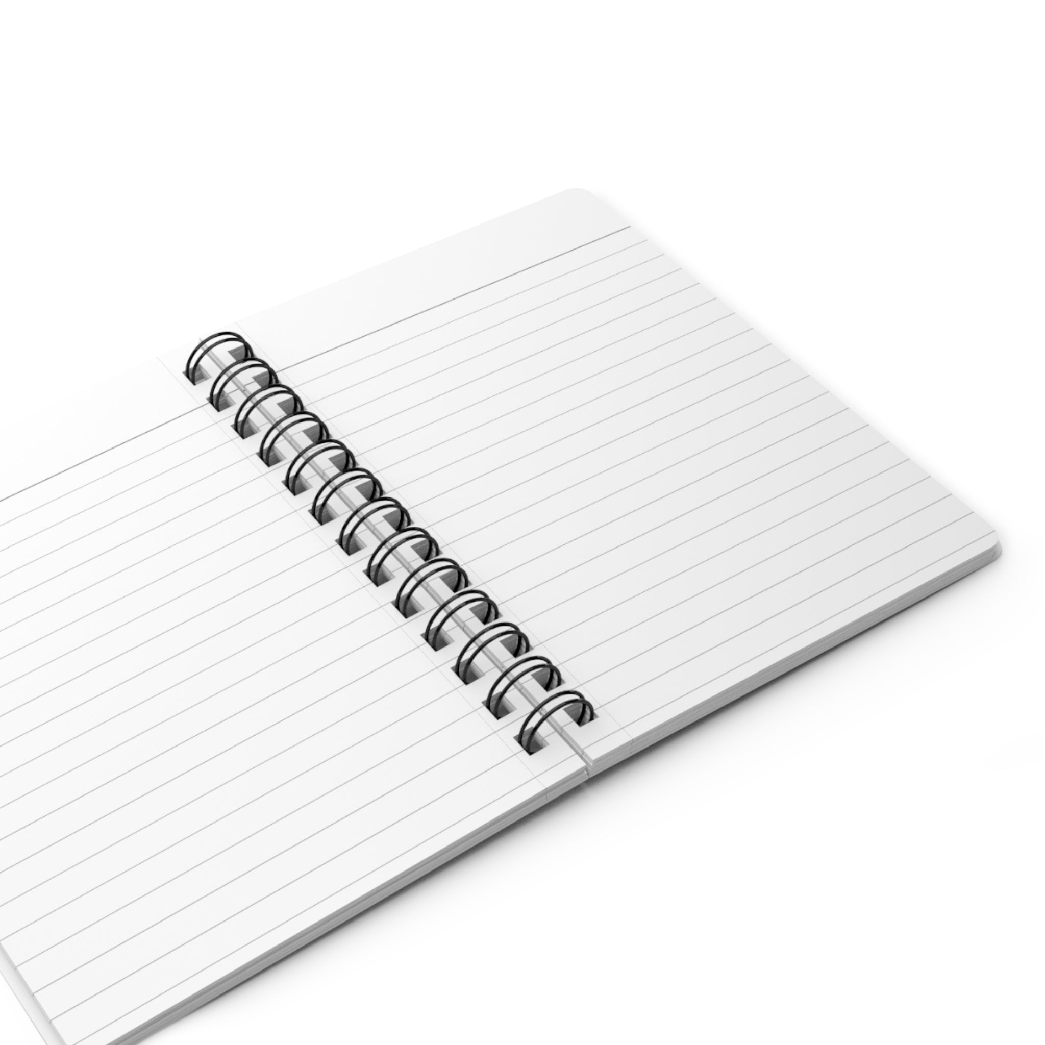 Classroom Management Lesson Plan Notebook