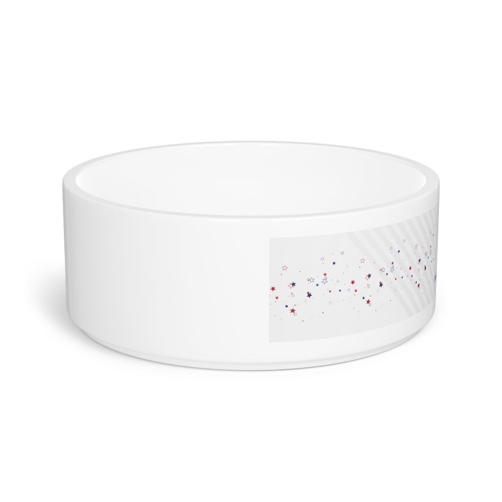 ICE – Independent Cat Entity Ceramic Cat Bowl | Political Parody