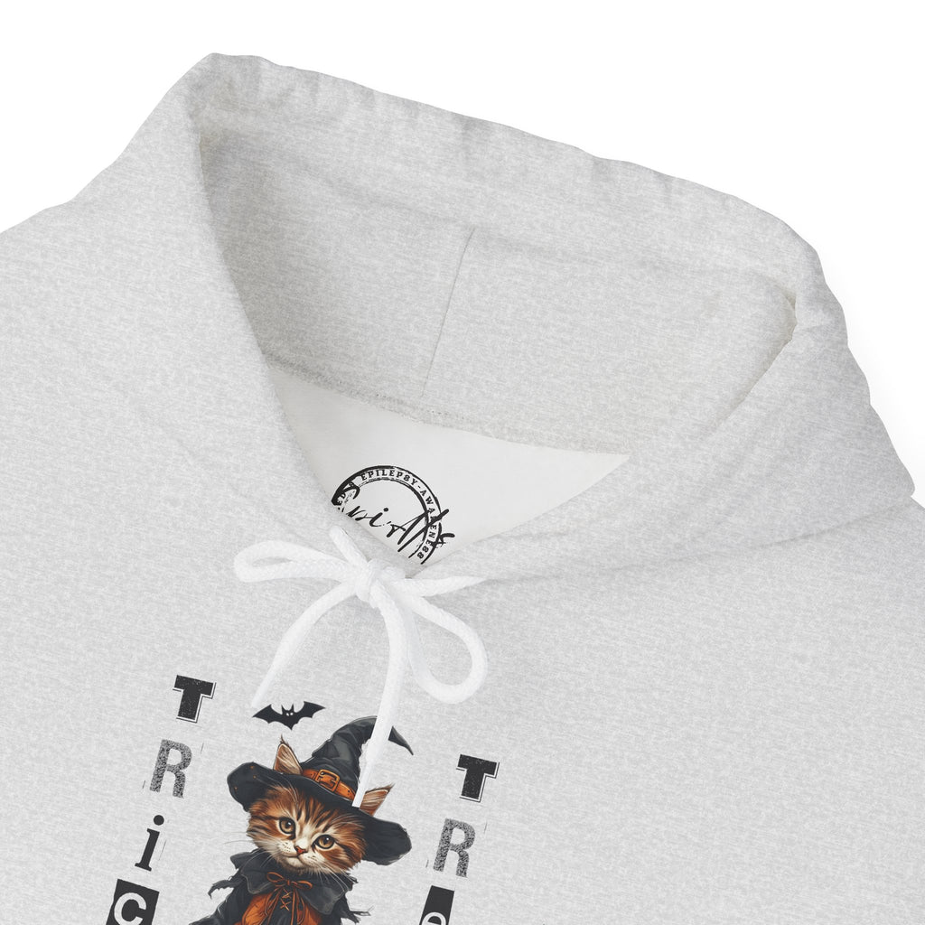 Cozy Halloween Witchy Cat Hoodie
