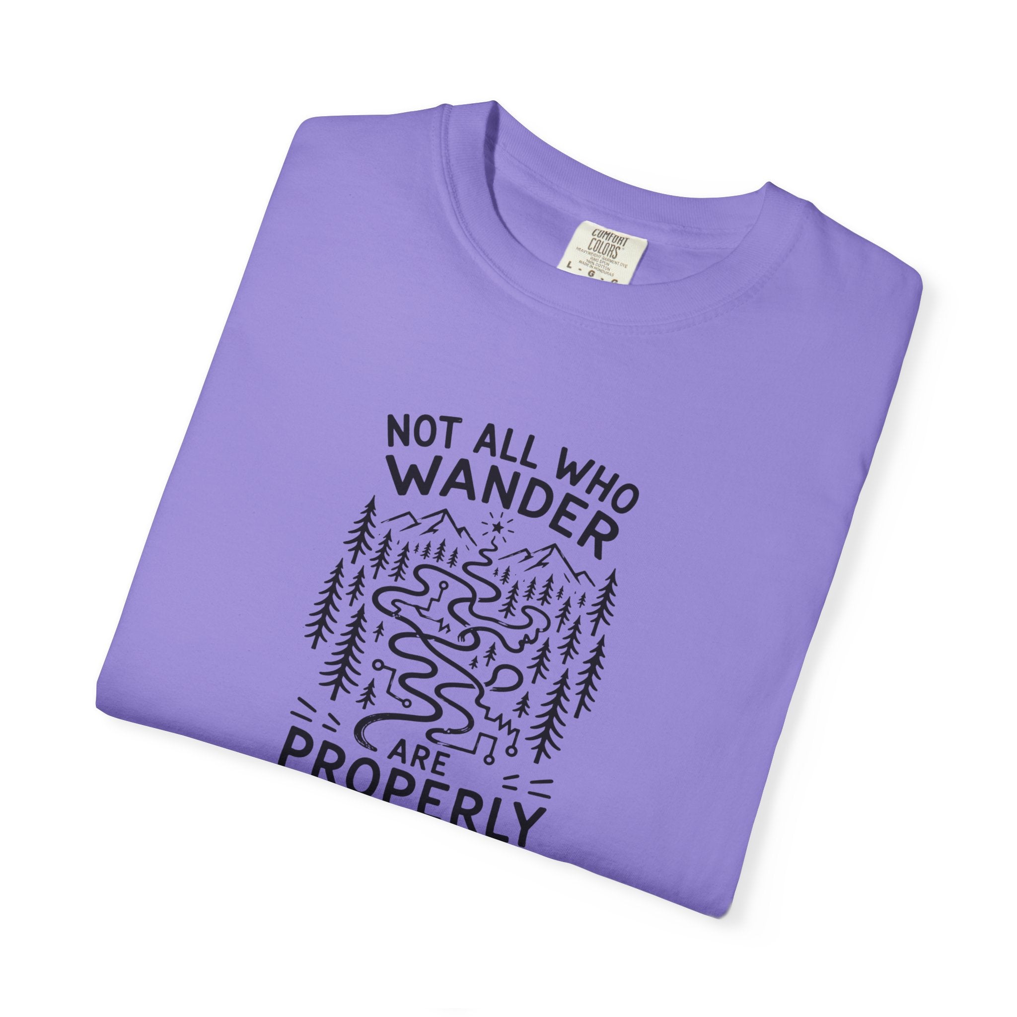 Not All Who Wander Are Properly Wired Epilepsy Awareness T-Shirt