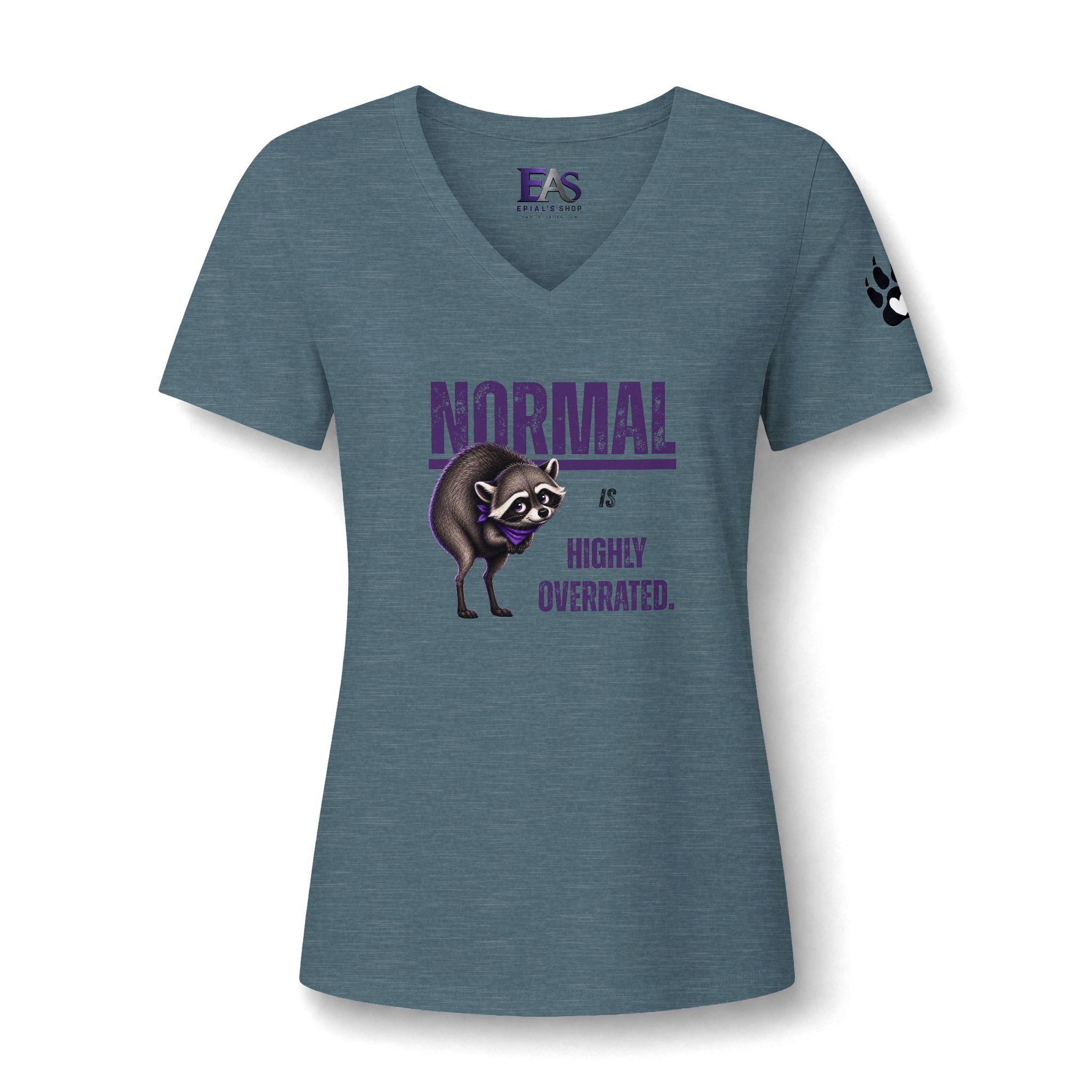 Normal Is Highly Overrated Jimothy Women’s V-Neck T-Shirt