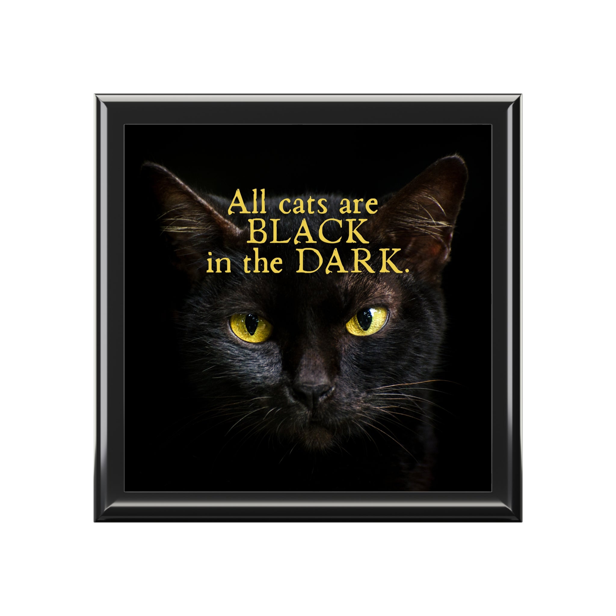 Photo depicting the ​All Cats are Black at Night Jewelry Box from EpiAl's Shop.