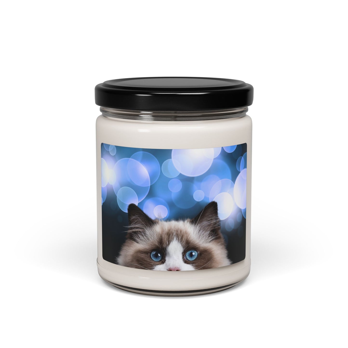 Peeking Kitty Scented Soy Candle, 9oz