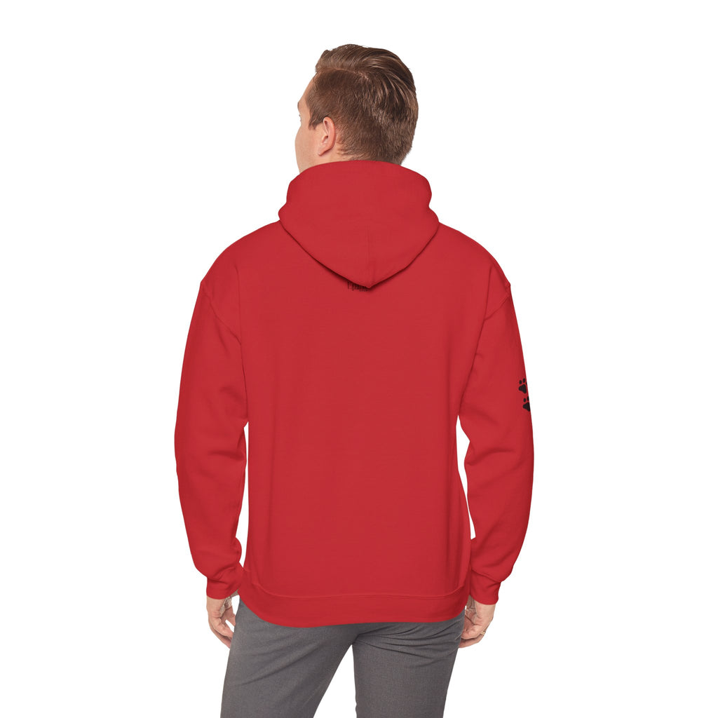Cozy Stick Cat Lover Hoodie
