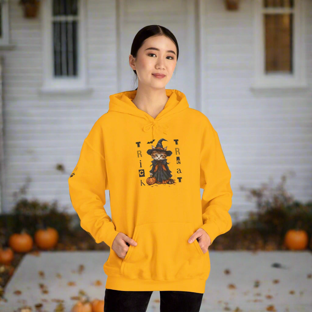 Cozy Halloween Witchy Cat Hoodie