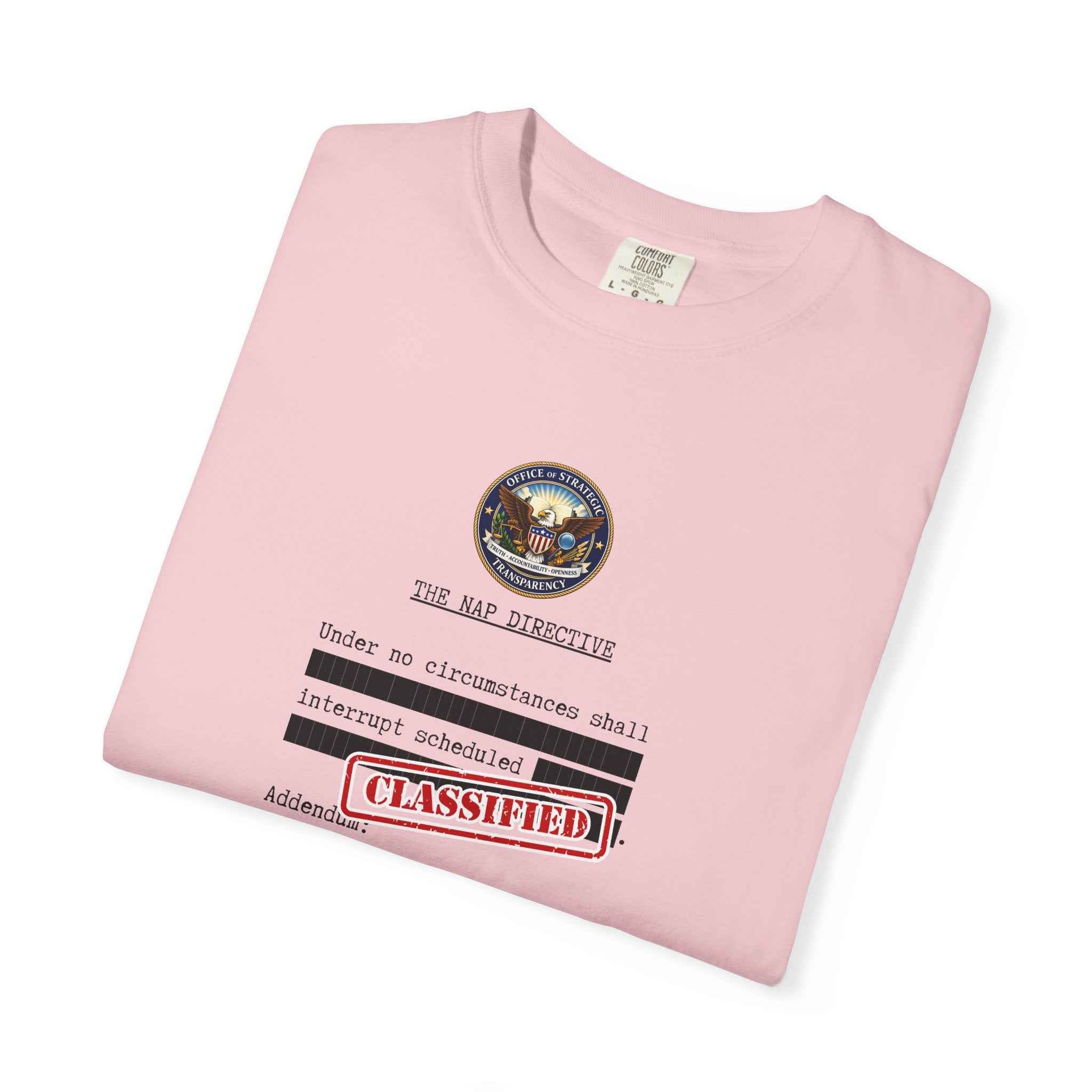 The Nap Directive Unisex T-Shirt – Official Rest Policy Graphic Tee