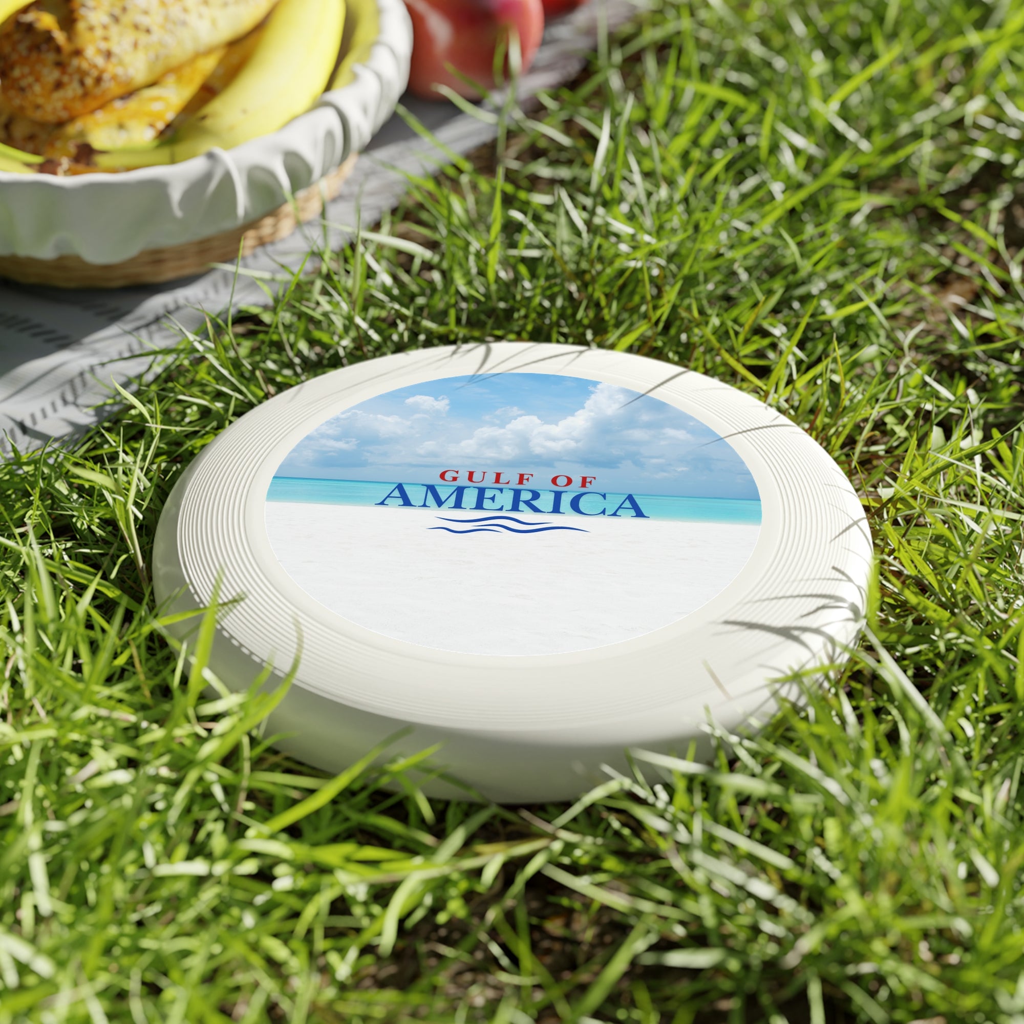 American Gulf Frisbee