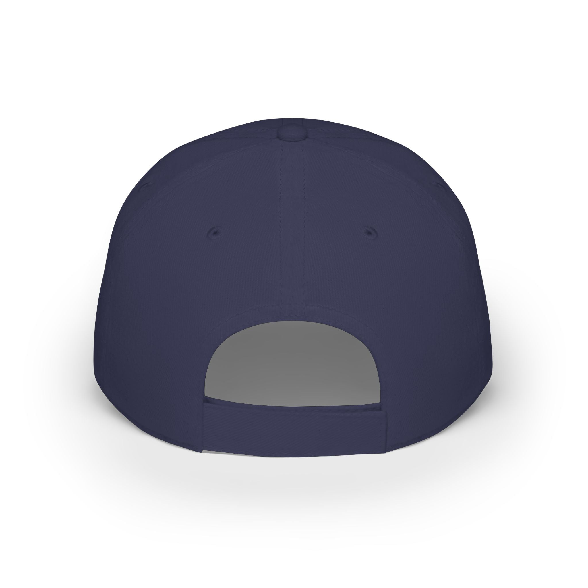 Department of Tides & Tan Lines Dad Cap – Coastal Seal Hat, Office of Saltwater Affairs