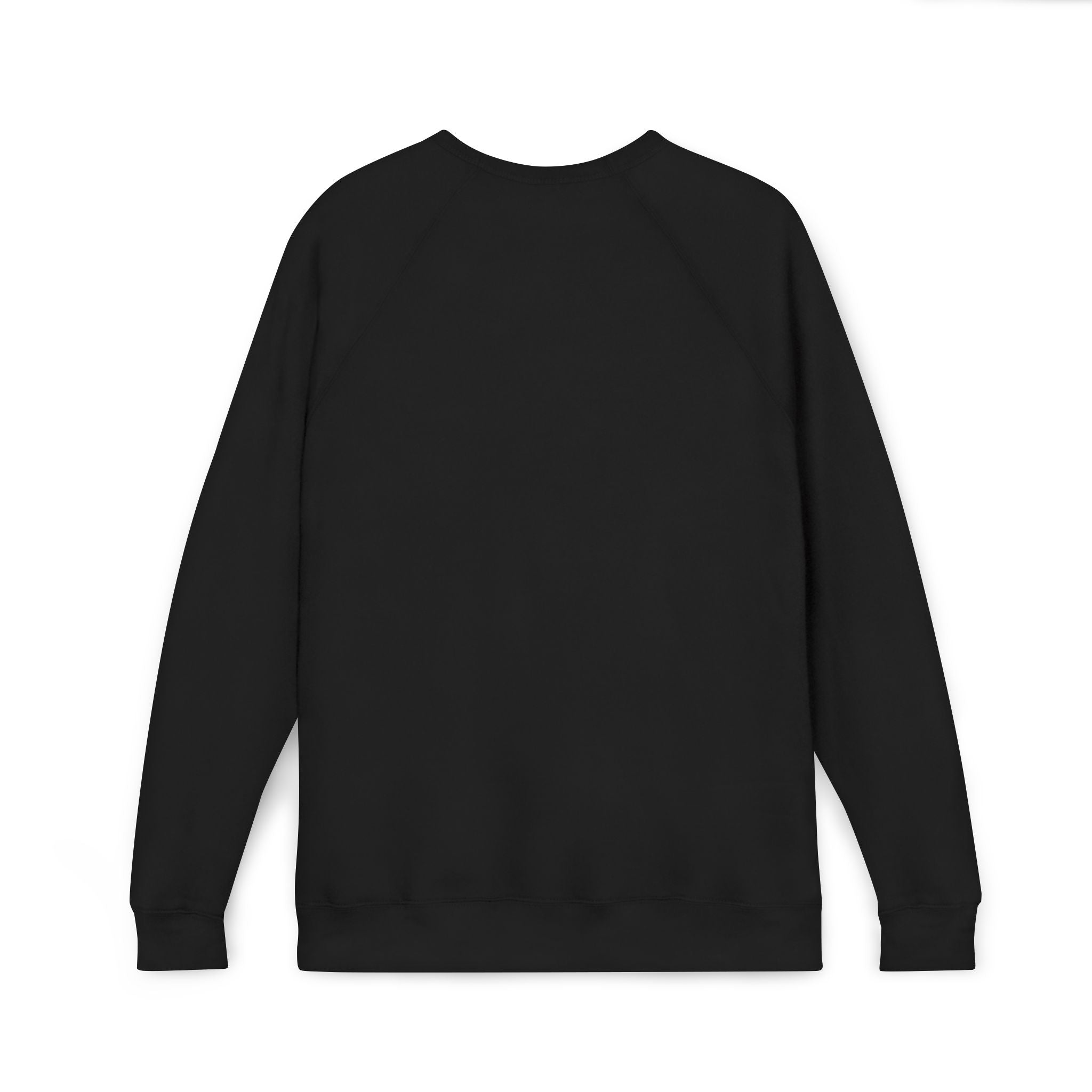 The Horrors Persist, So Do I. Gothic Cat Raglan Sweatshirt