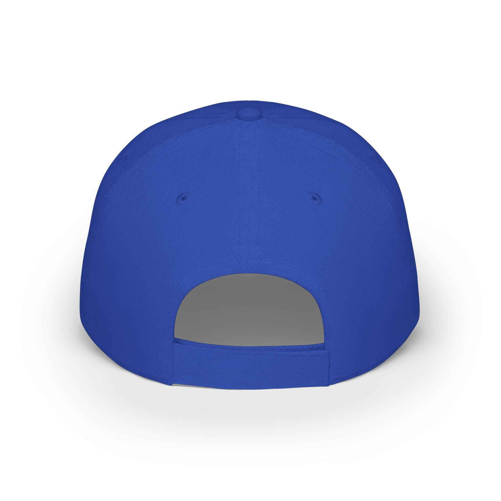 Department of Tides & Tan Lines Dad Cap – Coastal Seal Hat, Office of Saltwater Affairs