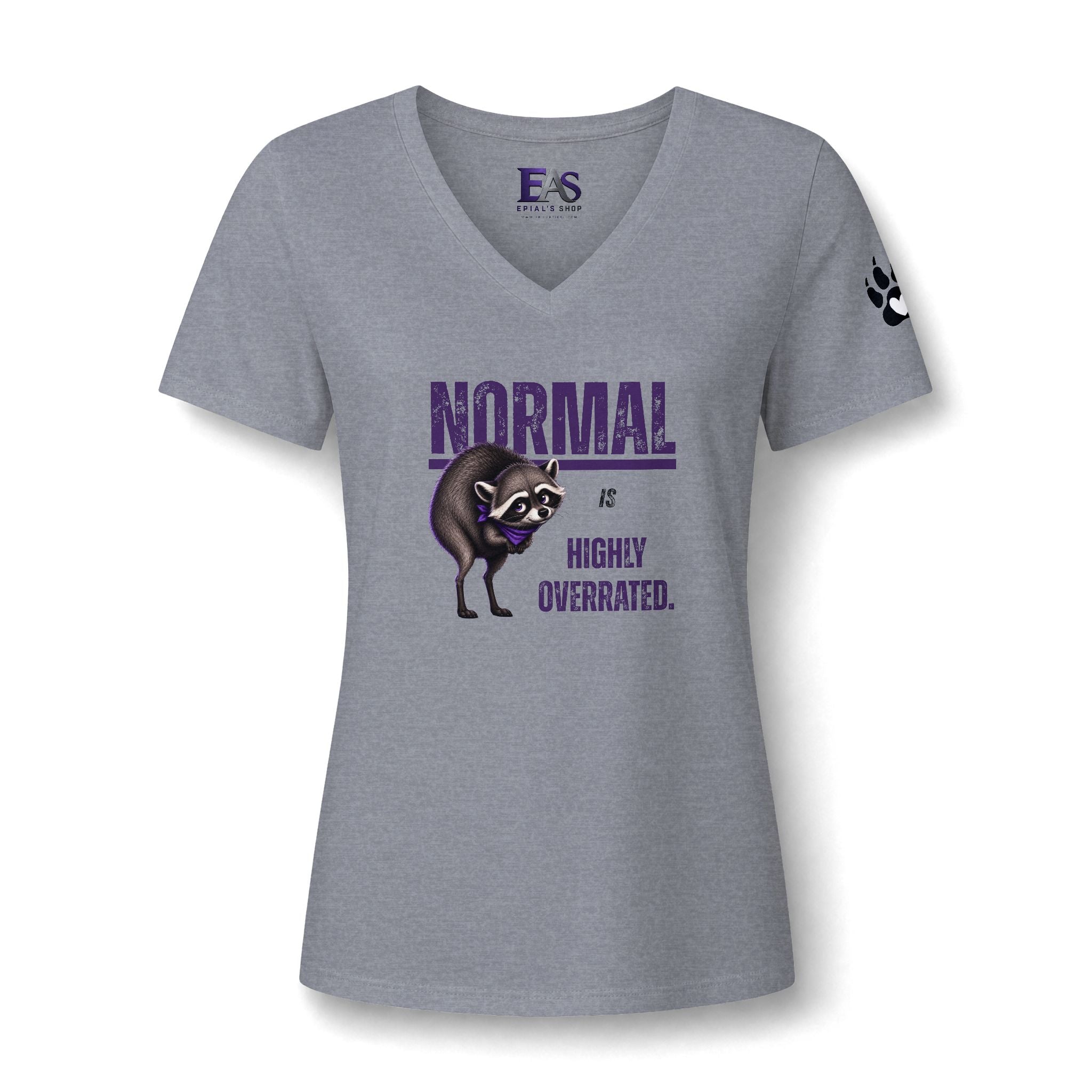 Normal Is Highly Overrated Jimothy Women’s V-Neck T-Shirt
