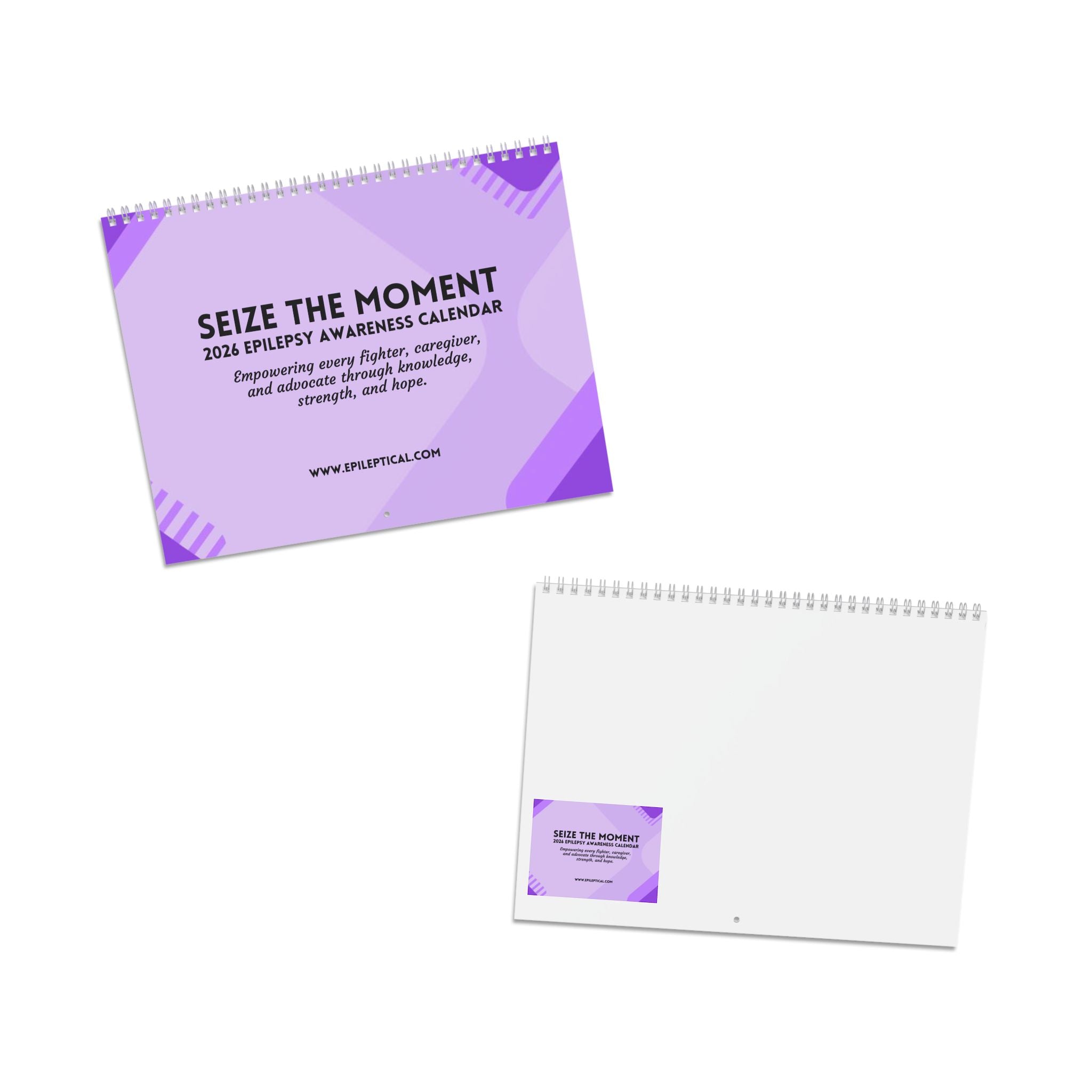 2026 Epilepsy Awareness Calendar - Seize the Moment