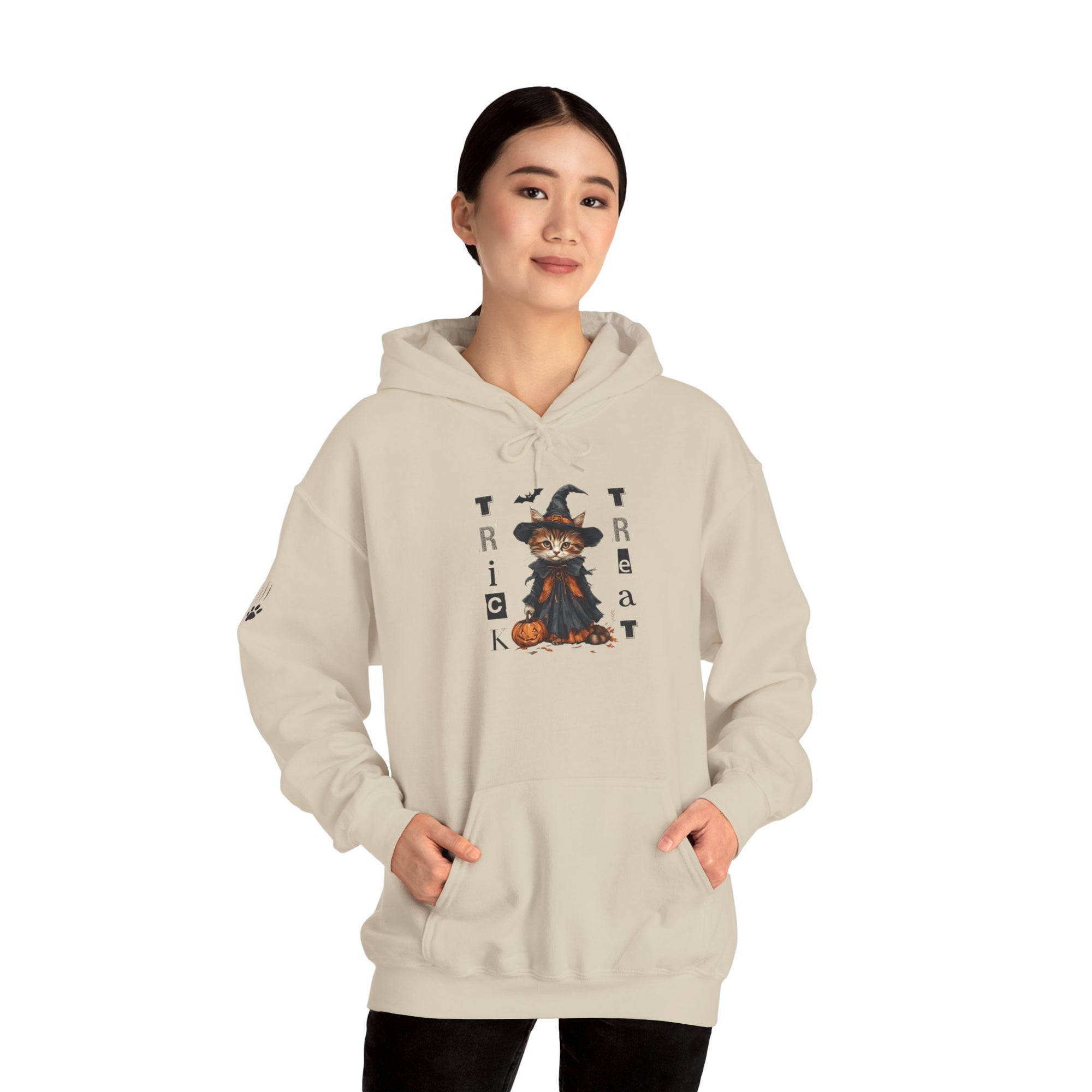Cozy Halloween Witchy Cat Hoodie
