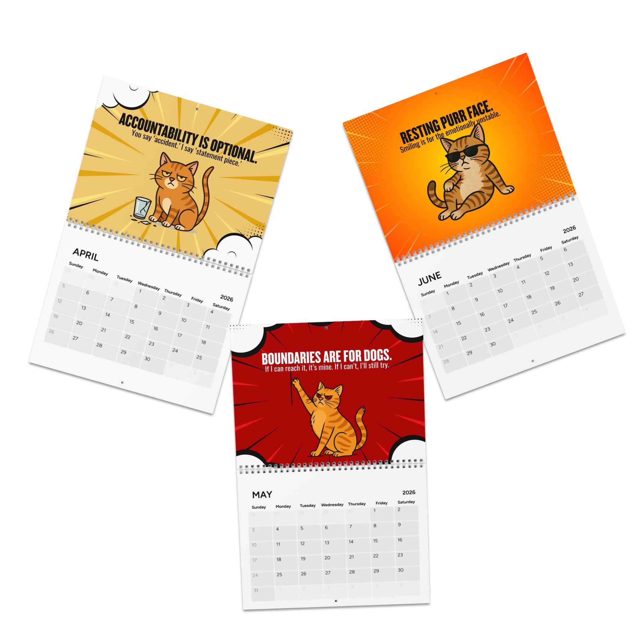 Catsplaining the Year – 2026 Funny Cat Calendar | EpilepticAL