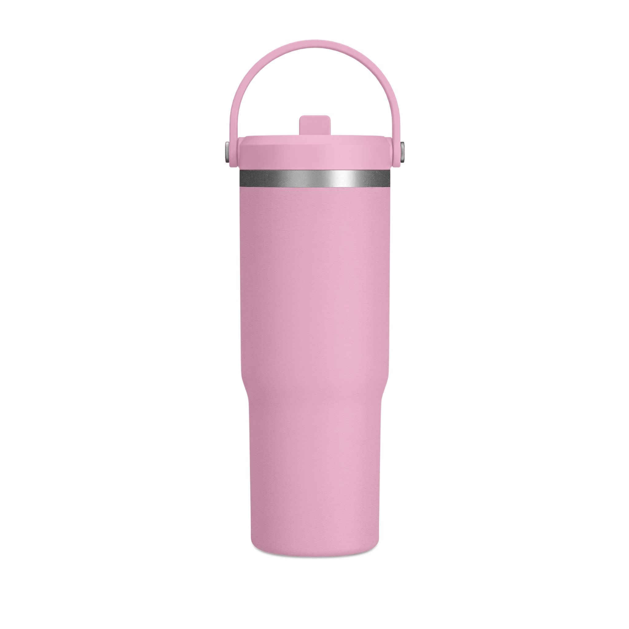 Brainstorm 32 oz Insulated Tumbler with Handle