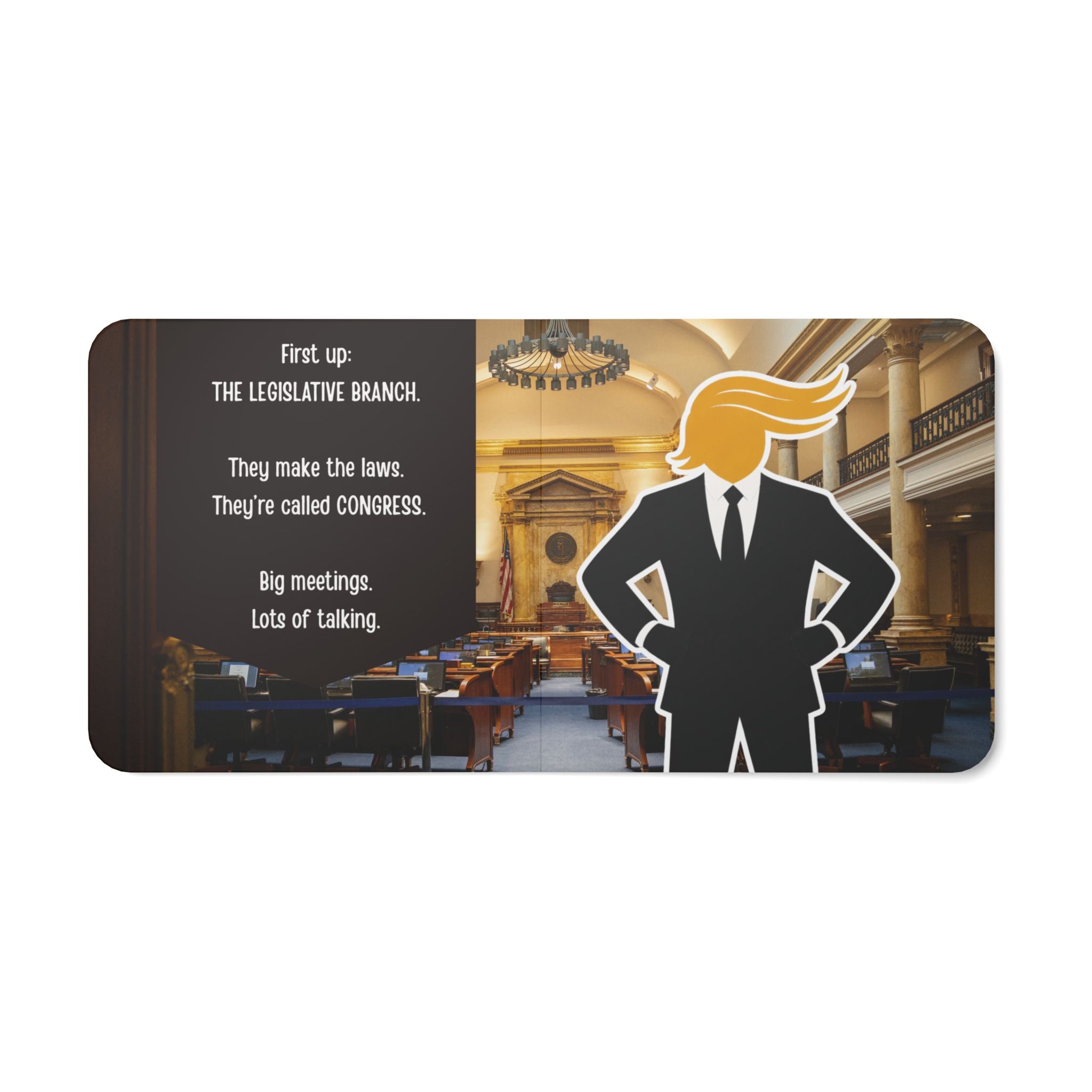 Patriotic Board Book — "Three Branches, One Country" (Children's Political Board Book)