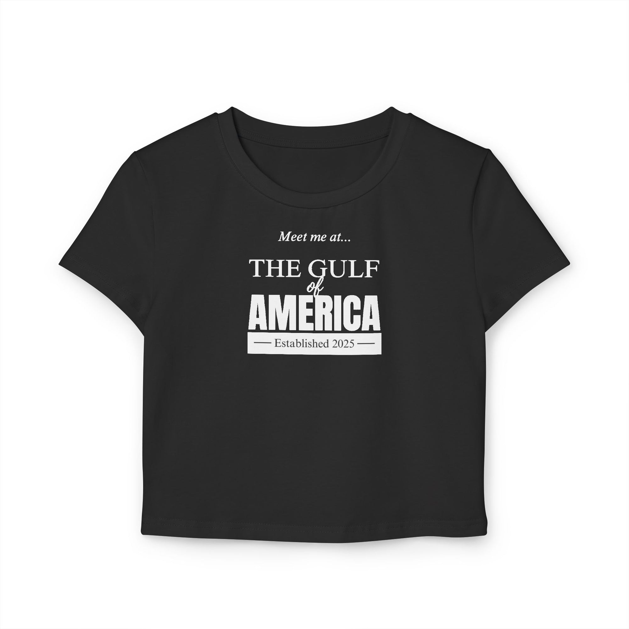 The American Gulf Women's Baby Tee