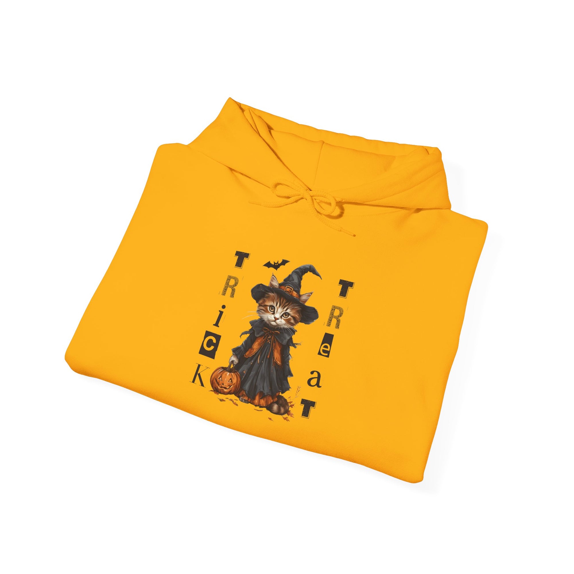 Cozy Halloween Witchy Cat Hoodie