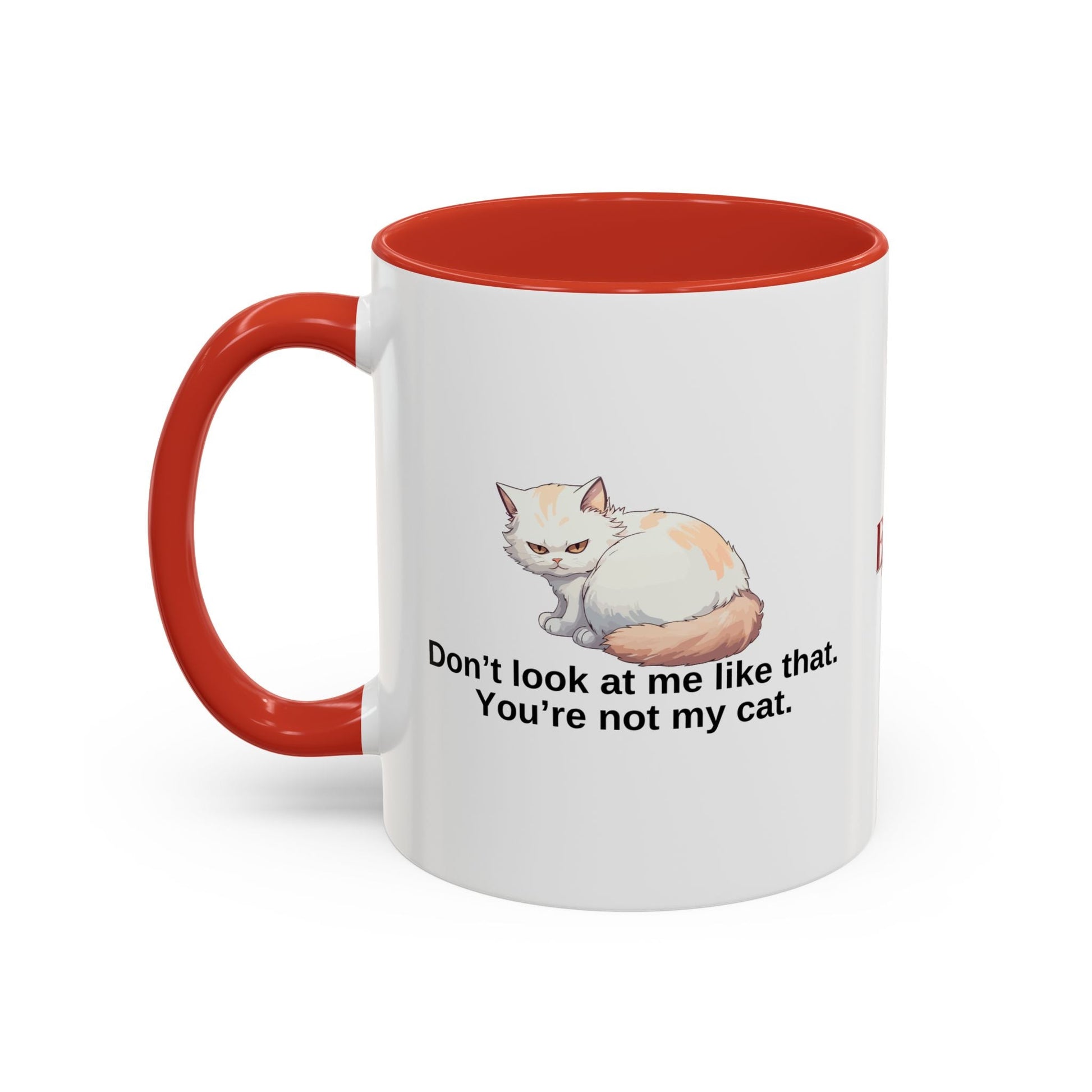 Humorous Cat Lover's Coffee Mug - 11/15oz Accent Mug Printify