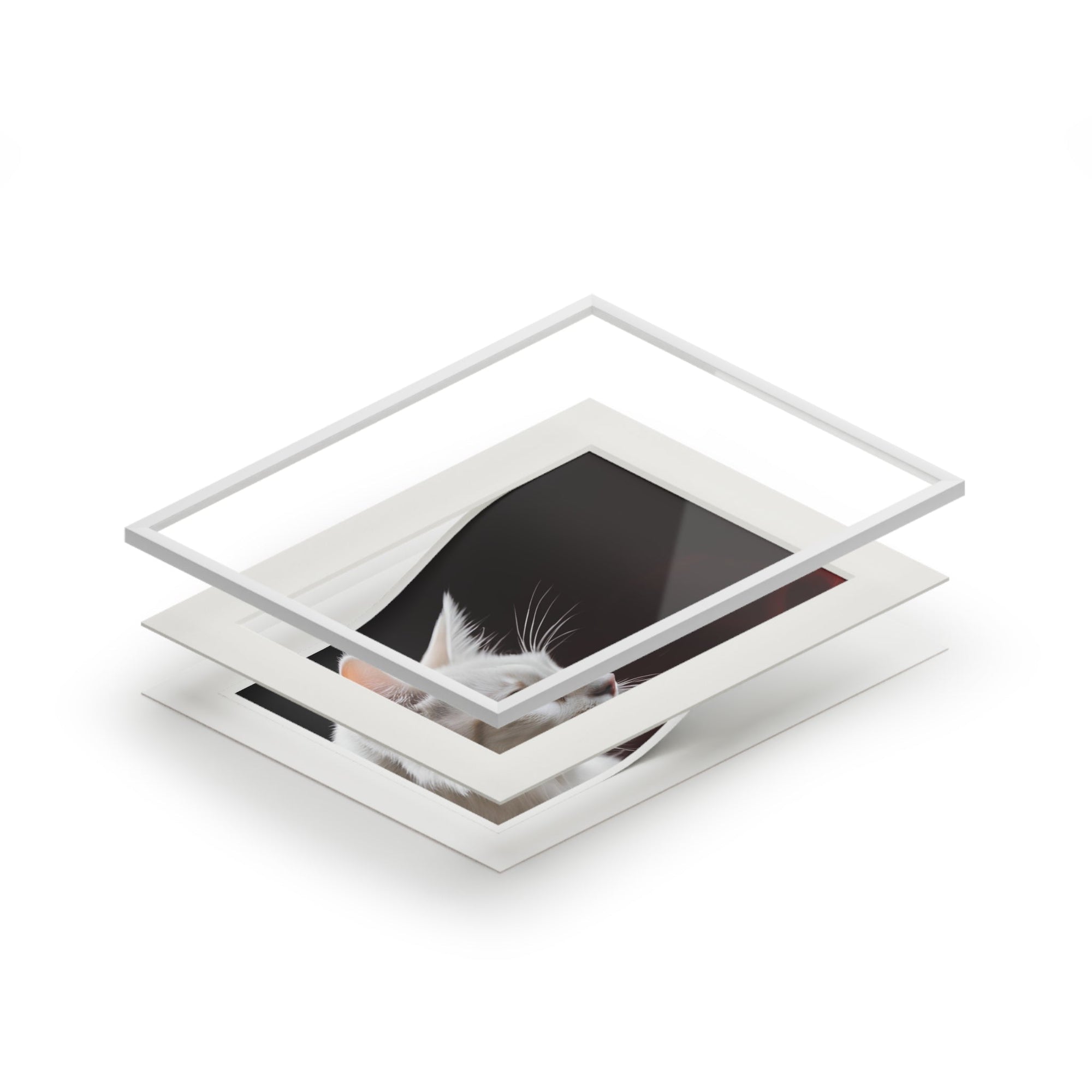 Wonderful White Cat Fine Art Print with Passepartout Frame Printify