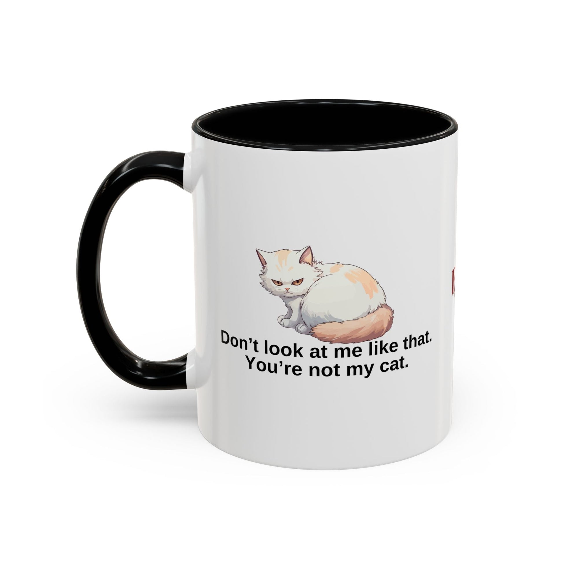 Humorous Cat Lover's Coffee Mug - 11/15oz Accent Mug Printify
