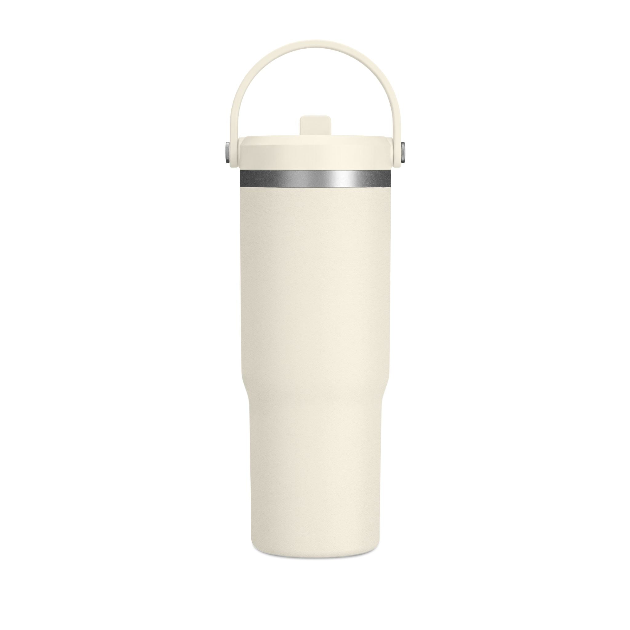 Brainstorm 32 oz Insulated Tumbler with Handle