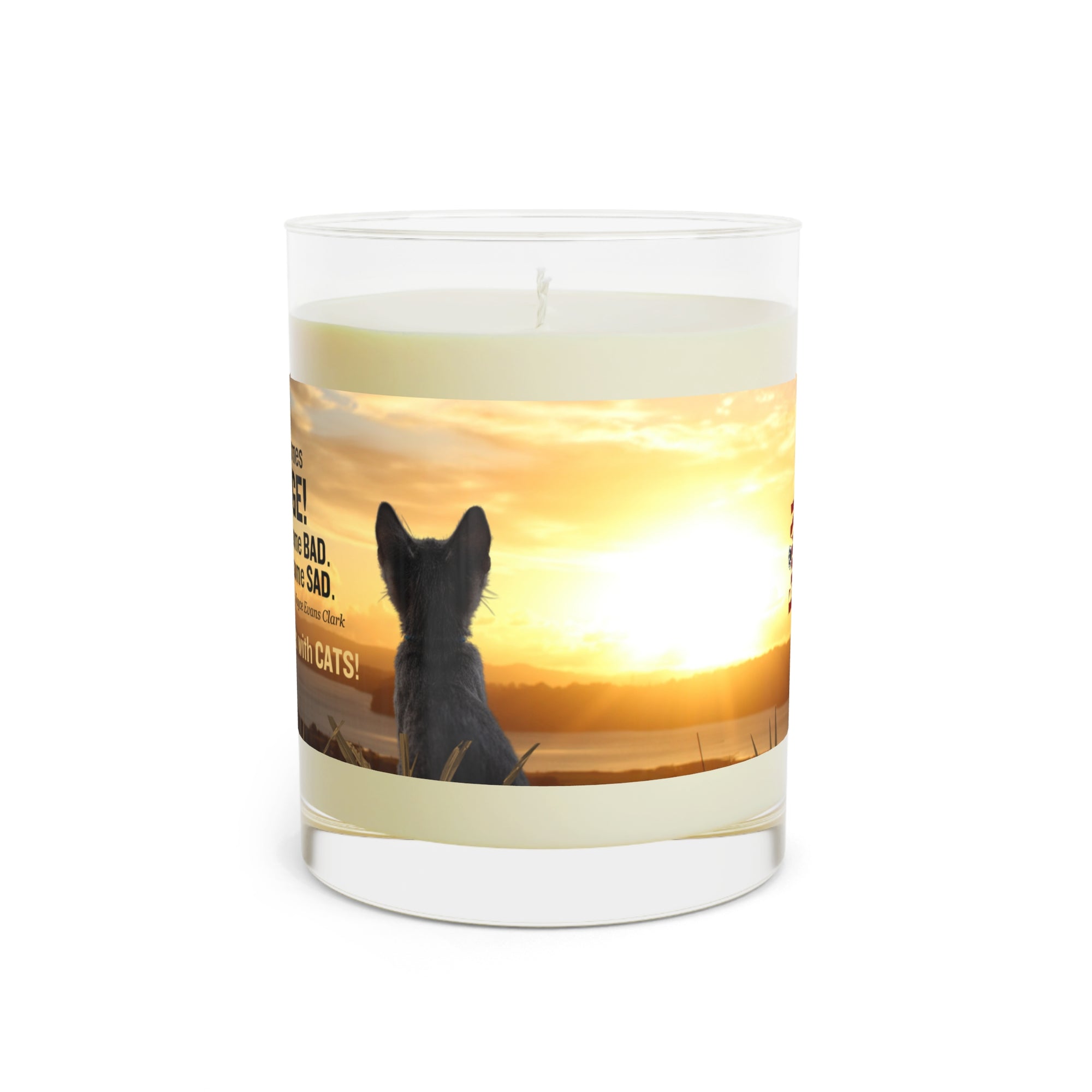 Life Comes with Cats Scented Candle - Full Glass, 11oz