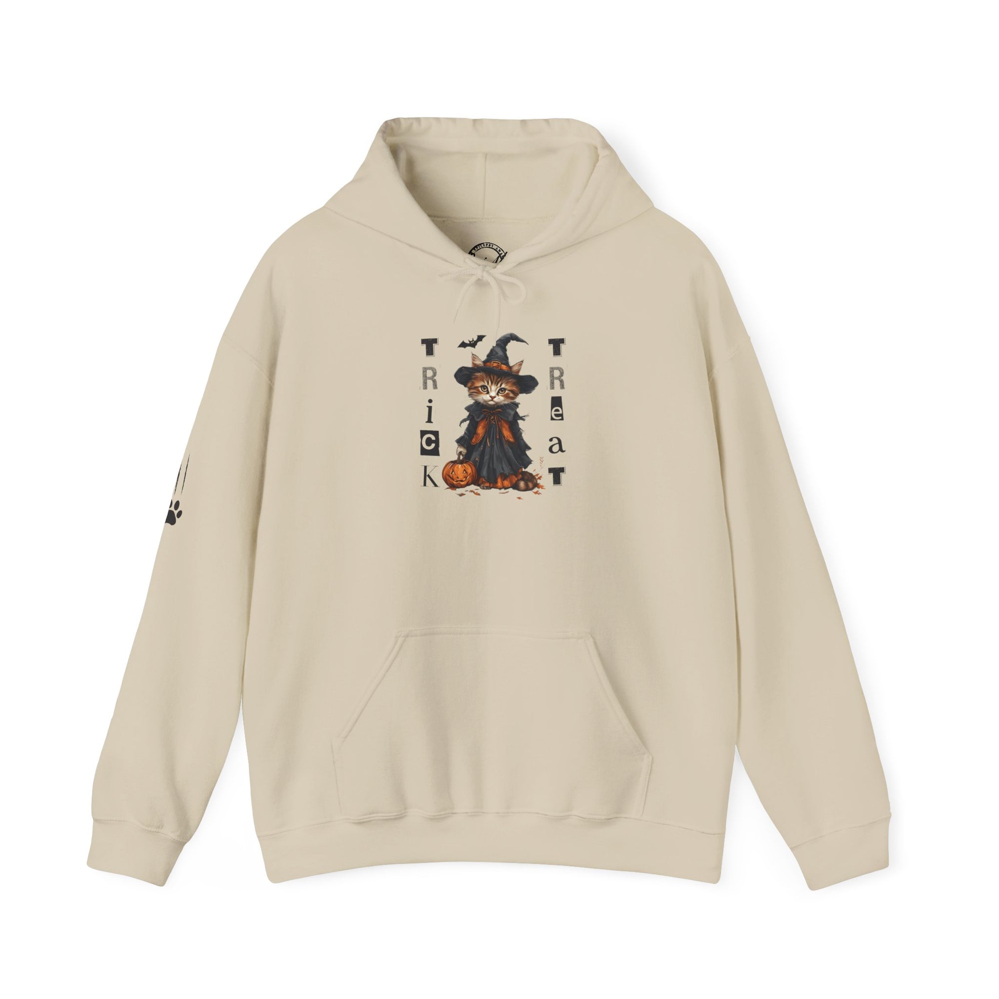 Cozy Halloween Witchy Cat Hoodie