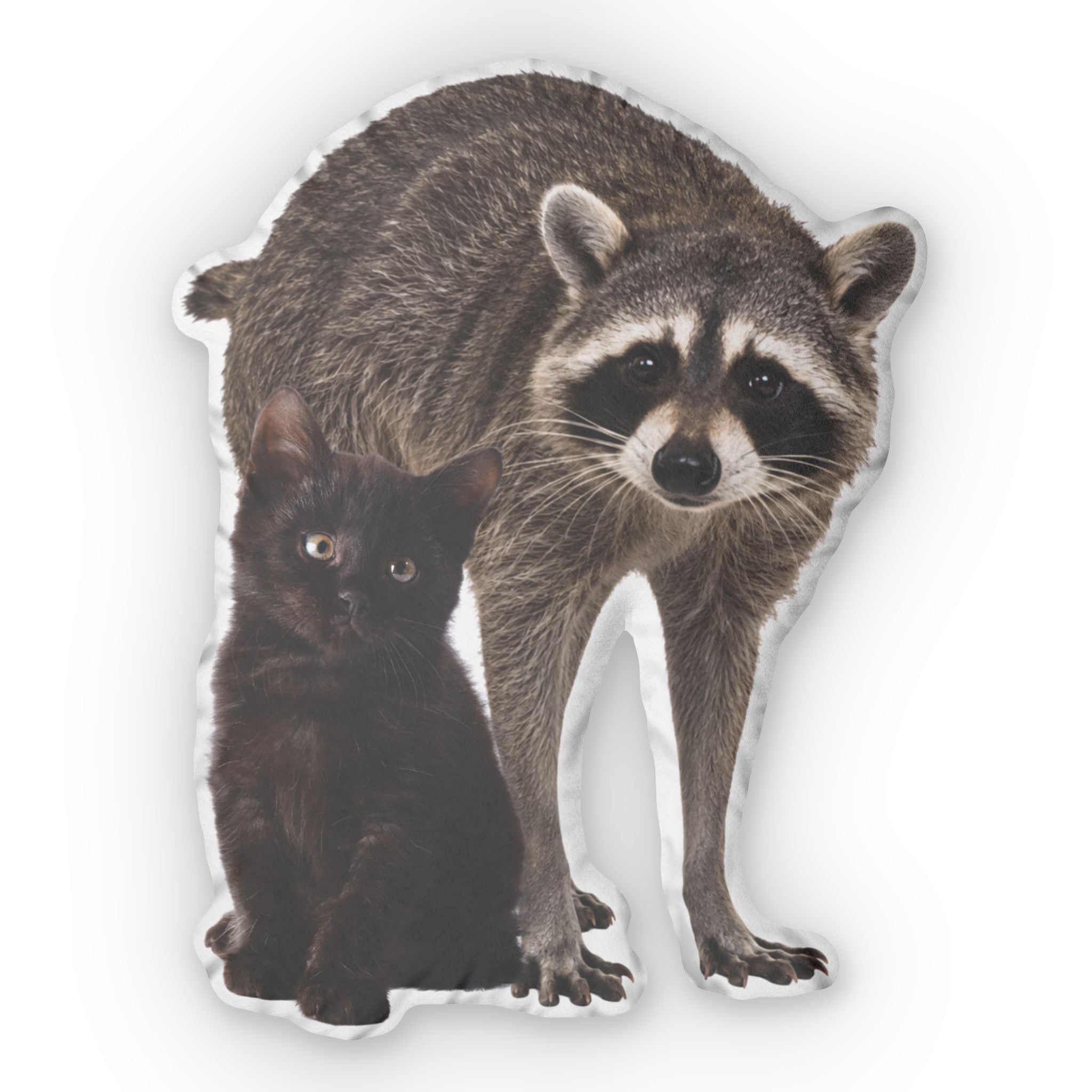 Jimothy & Kitten Shaped Plush Pillow