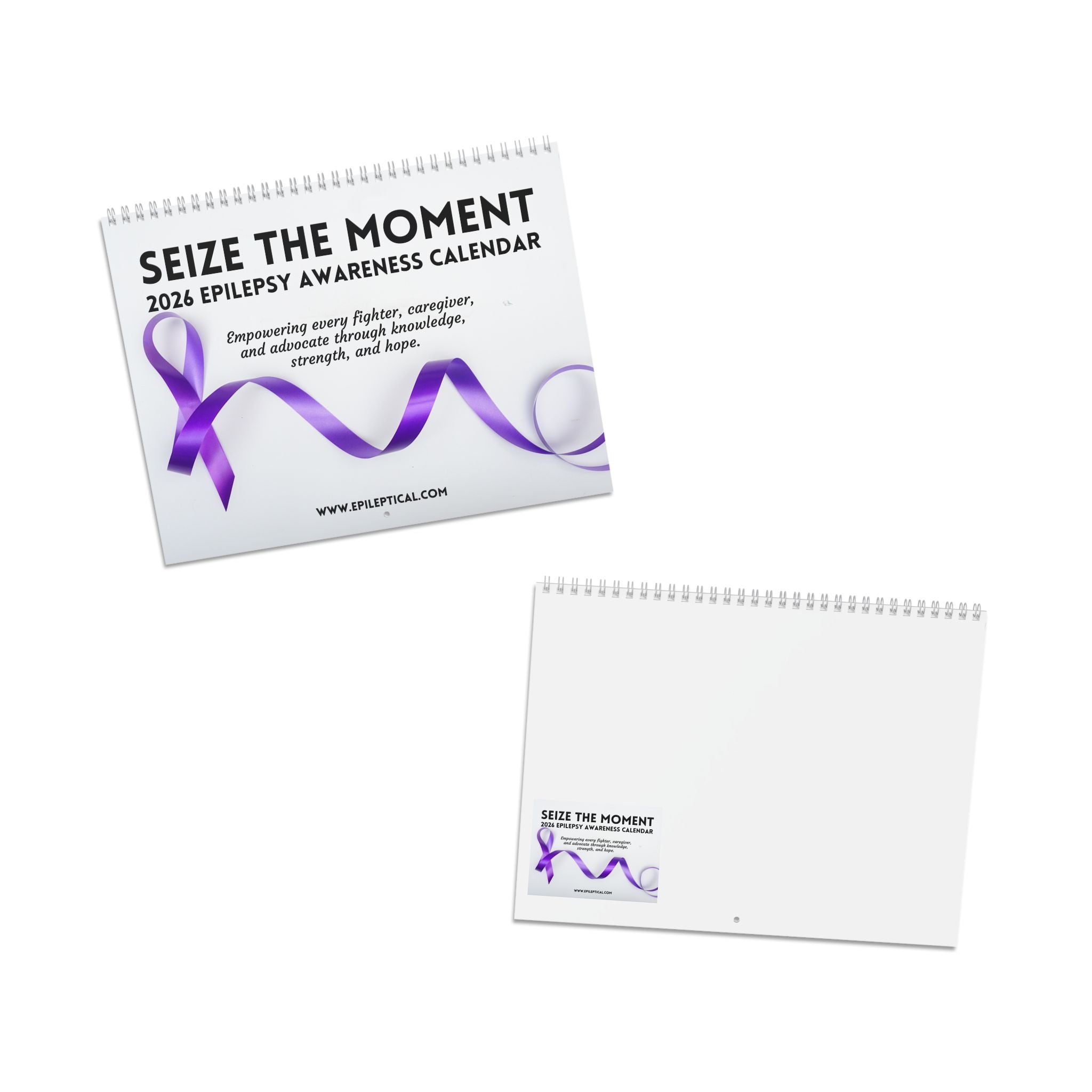 2026 Epilepsy Awareness Calendar - Seize the Moment