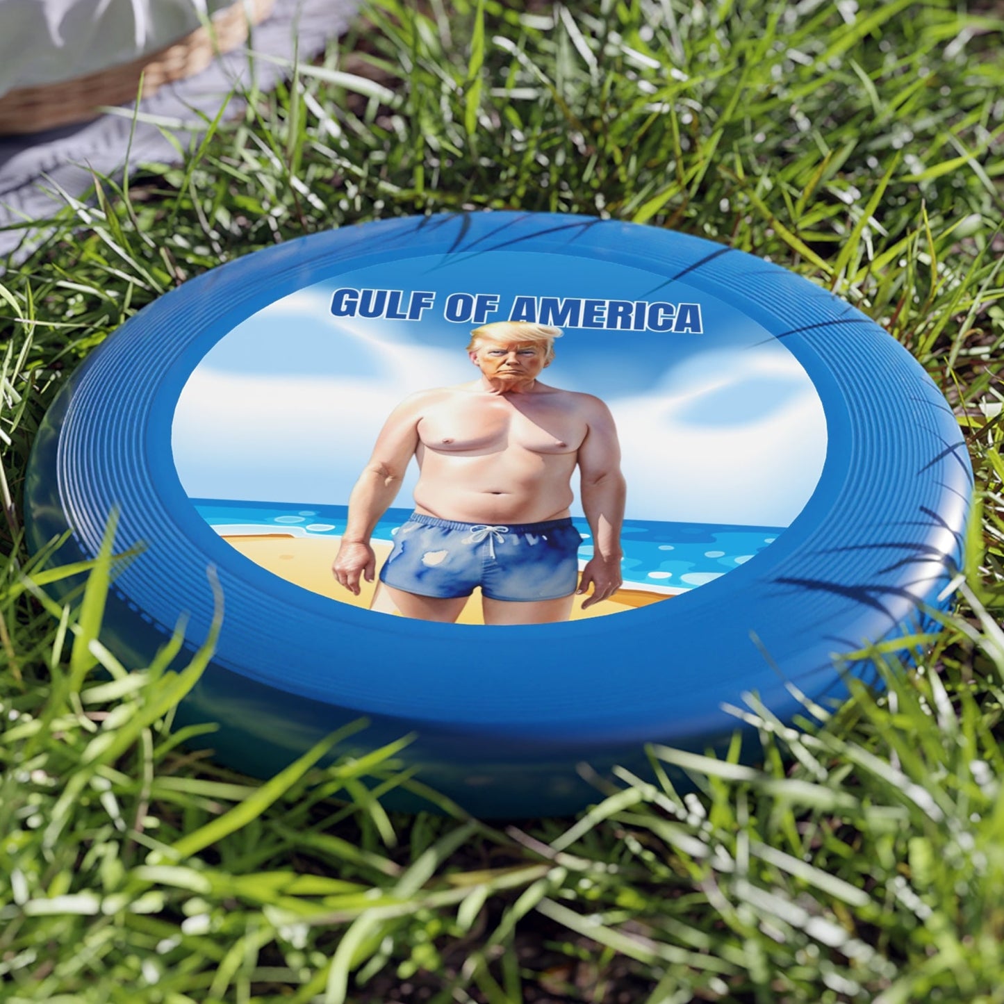 Gulf of America Frisbee - Fun Outdoor Flying Disc with Humorous Design