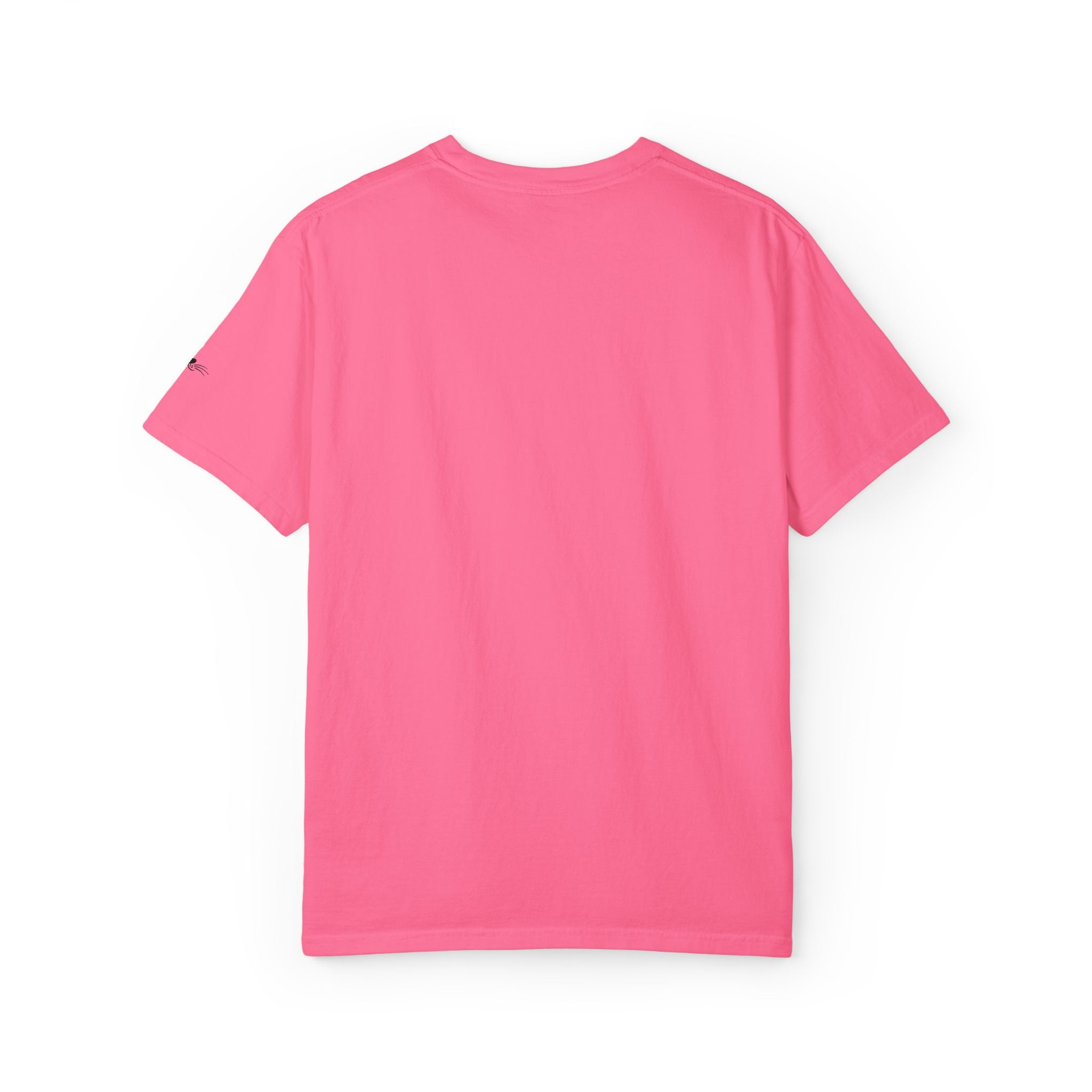 My Supervisor Has Whiskers Embroidered Comfort Colors T-Shirt