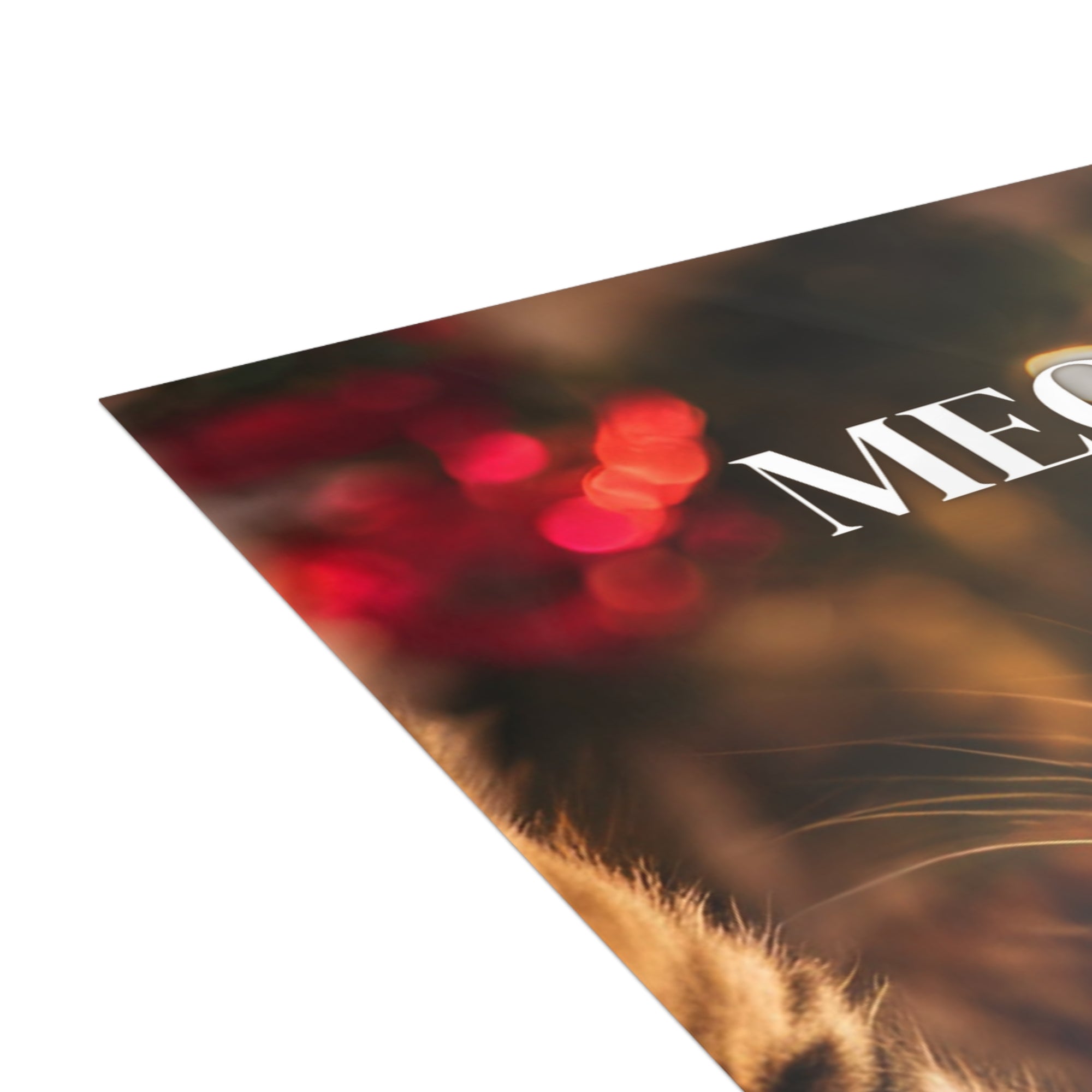 Meowy Christmas Postcard Bundles (envelopes included)