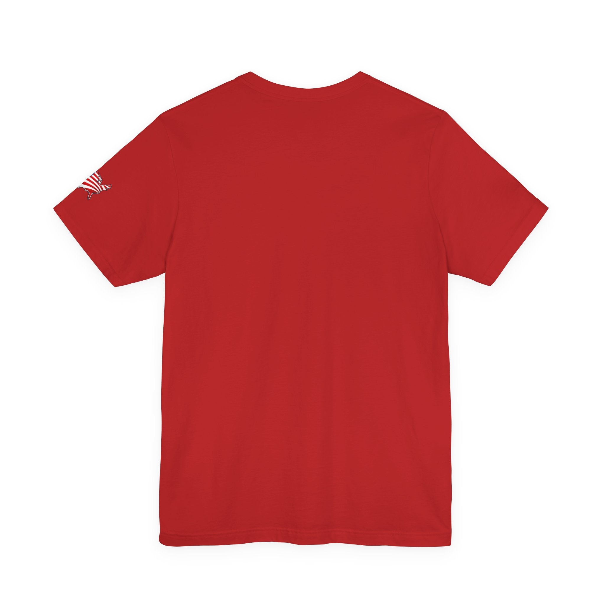 Freedom, With Minor Technical Issues, Since 1776 Patriotic T-Shirt
