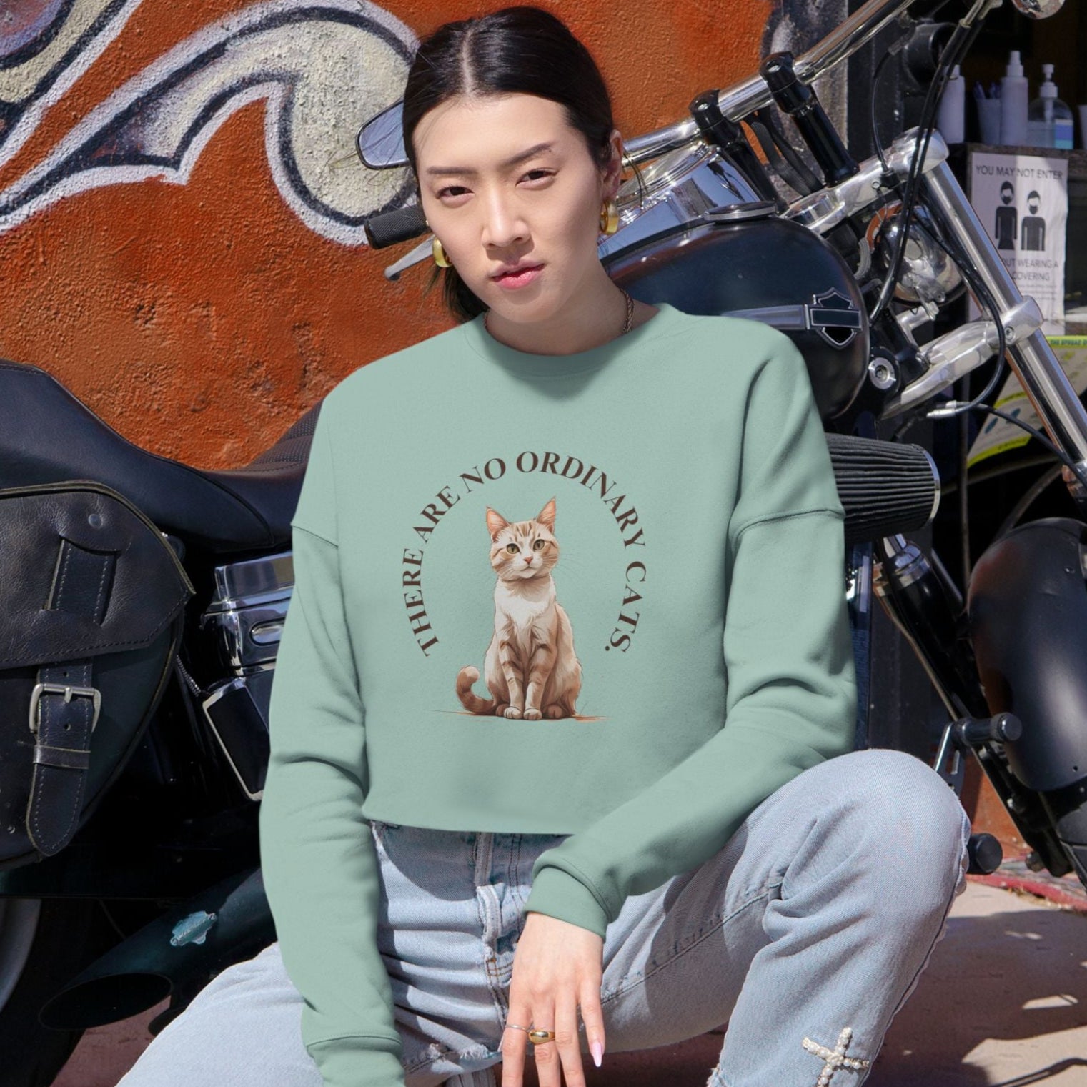 No Ordinary Cats Women's Cropped Sweatshirt