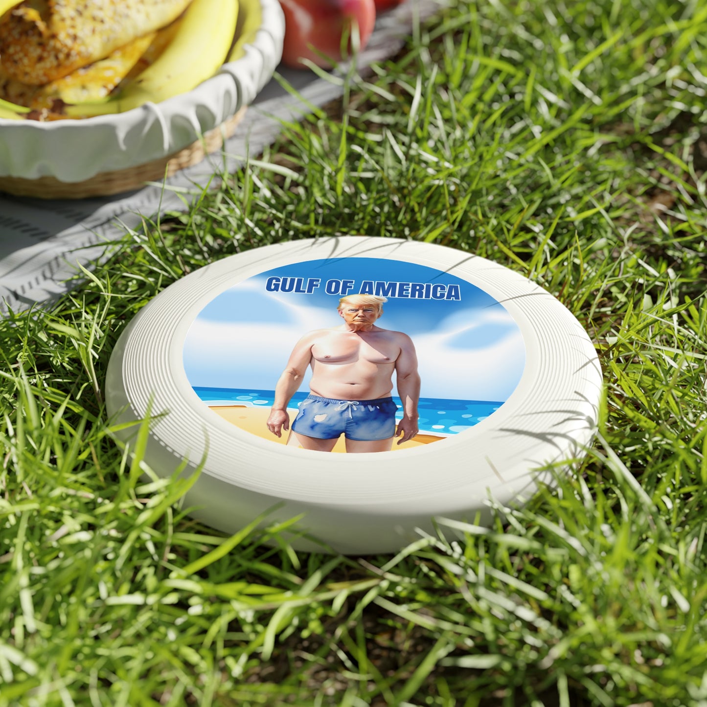 Gulf of America Frisbee - Fun Outdoor Flying Disc with Humorous Design