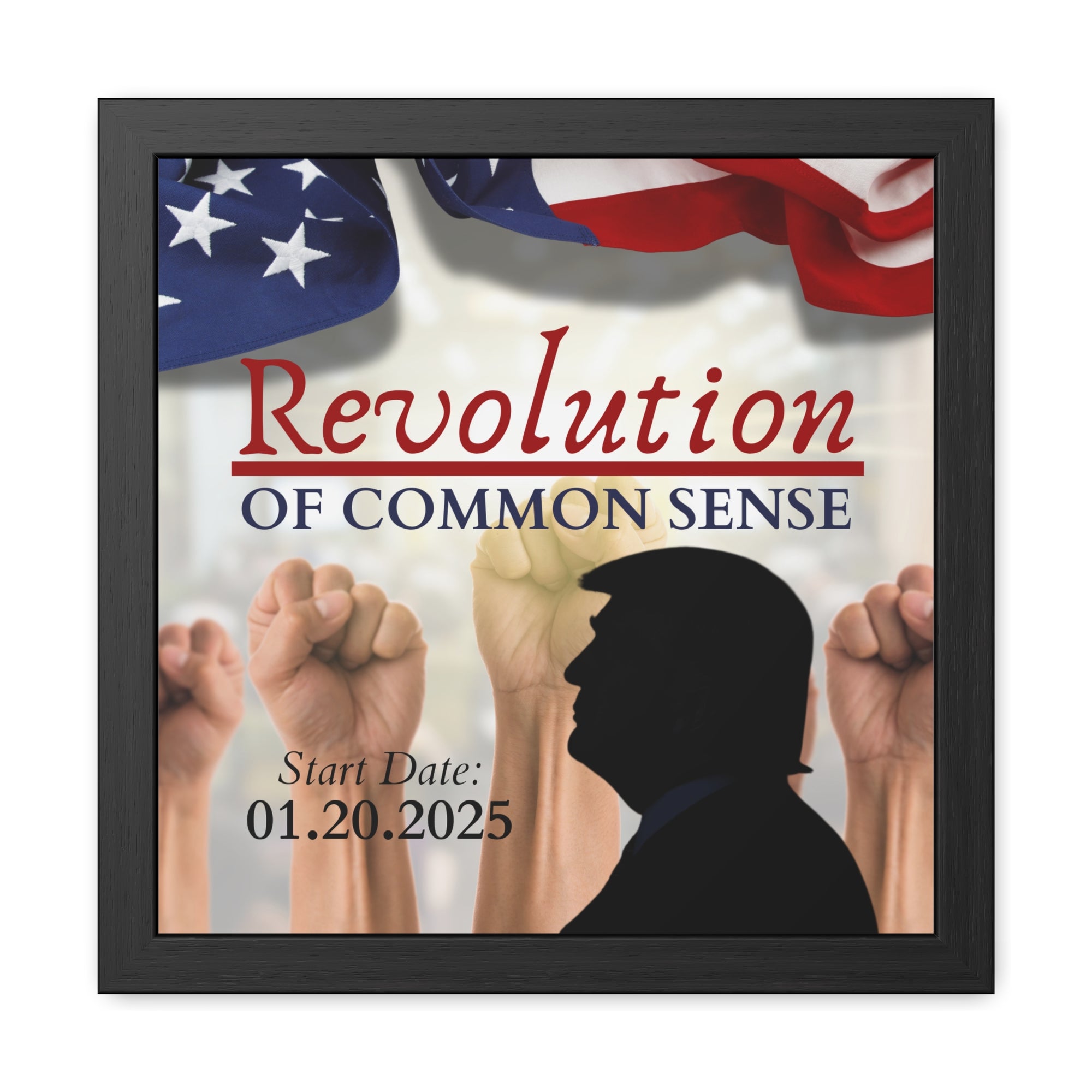 Trump Revolution of Common Sense Framed Posters