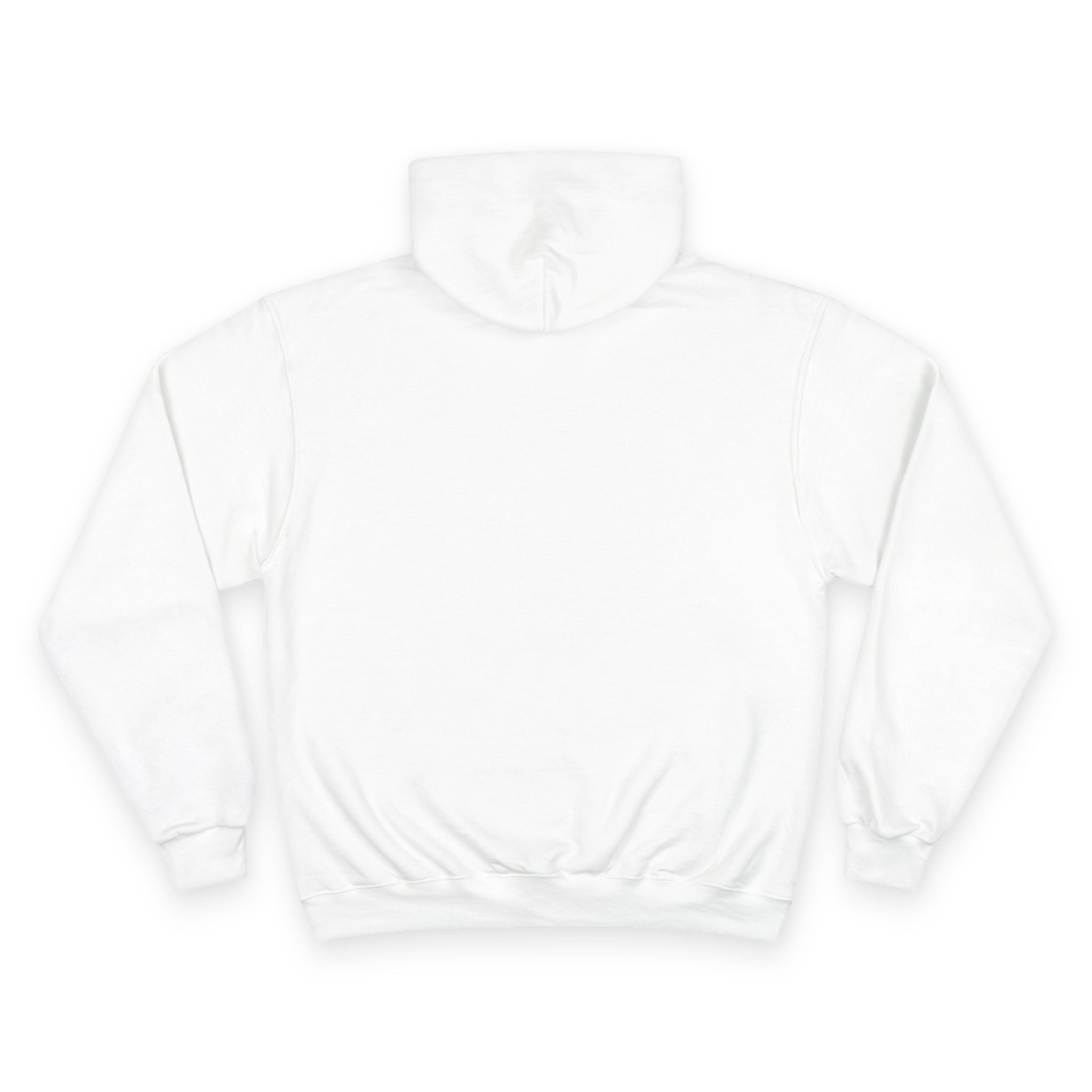 Department of Unprovoked Zoomies Champion Hoodie | Funny Cat Seal Sweatshirt