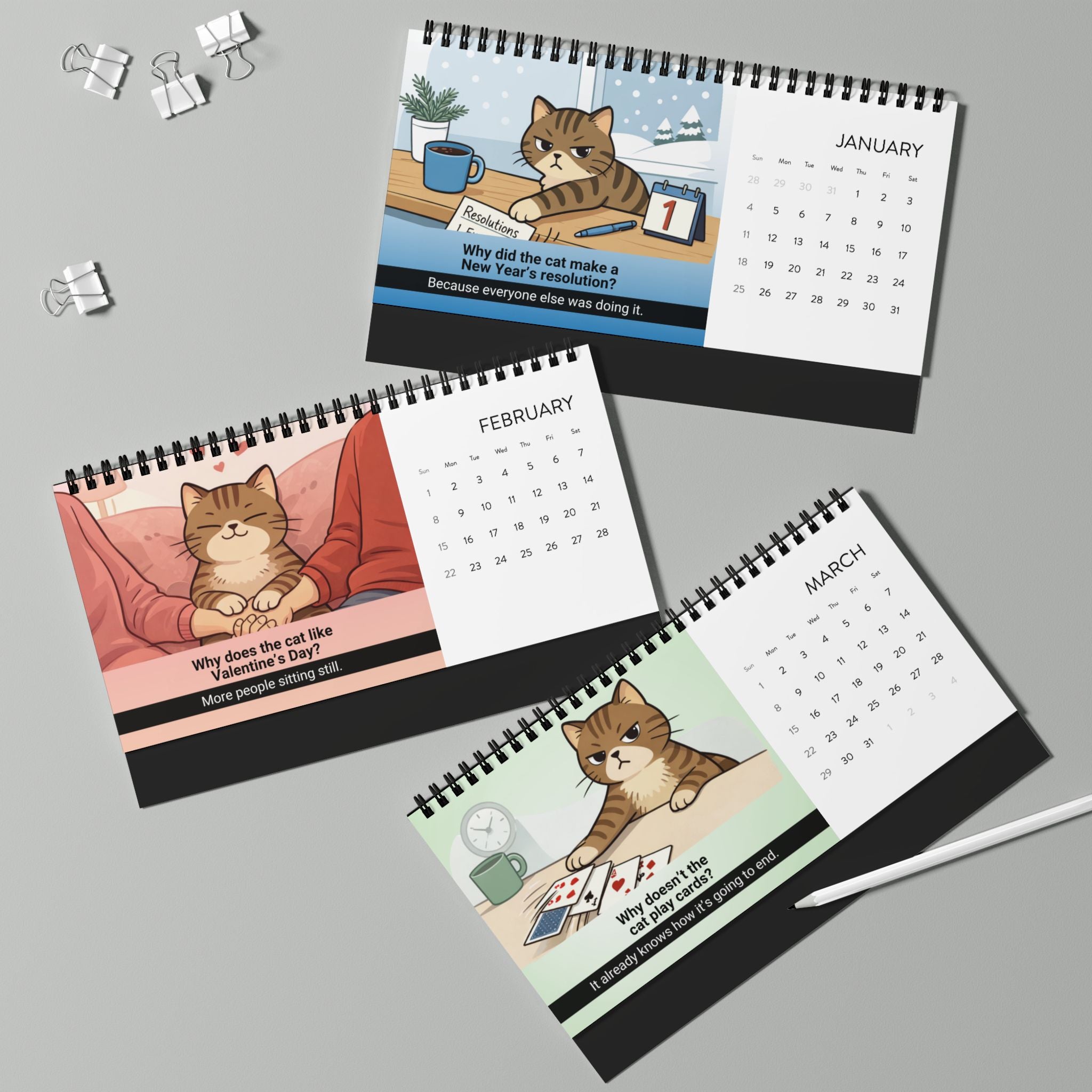 Cat Logic: Monthly Observations from a Higher Surface – 2026 Desk Calendar