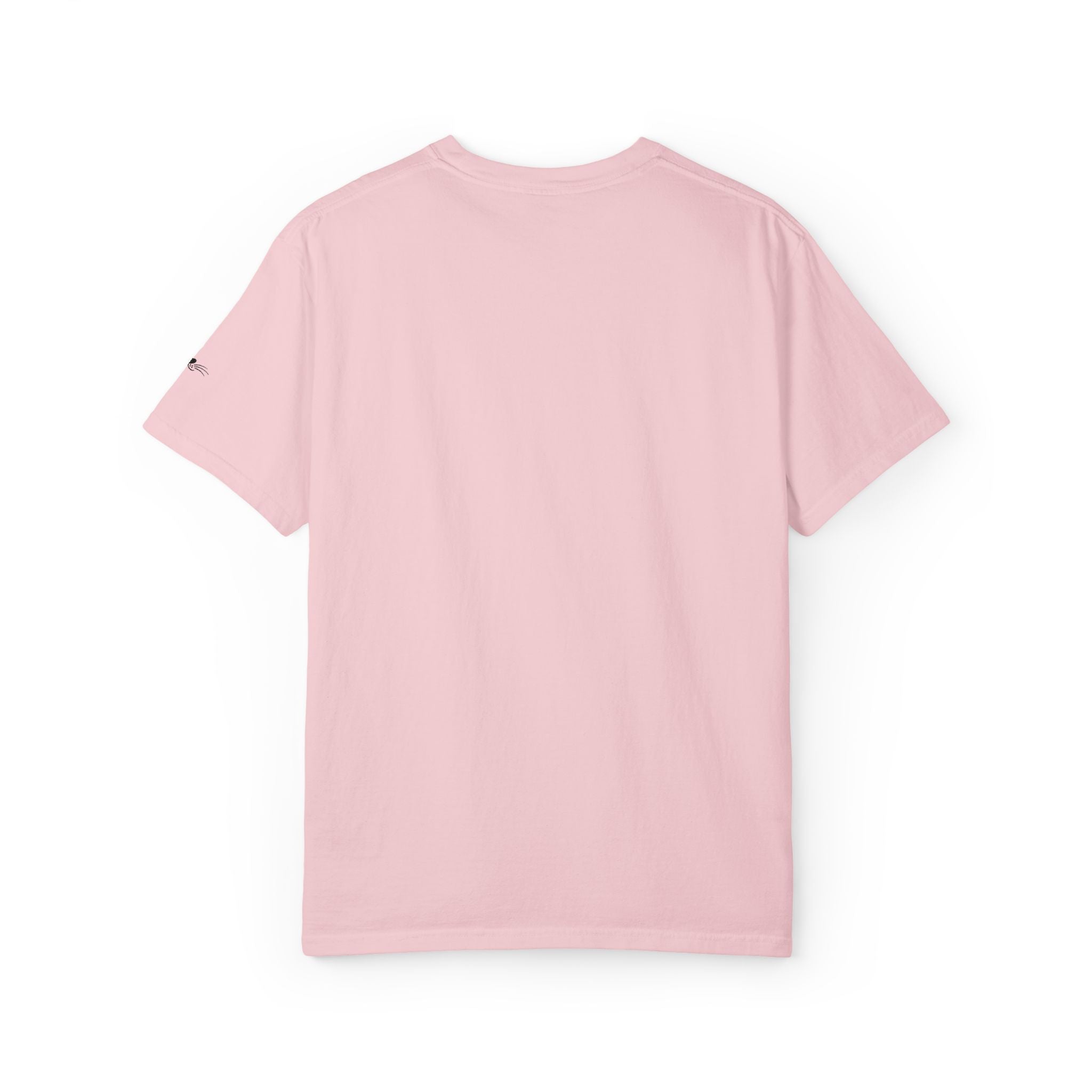 My Supervisor Has Whiskers Embroidered Comfort Colors T-Shirt