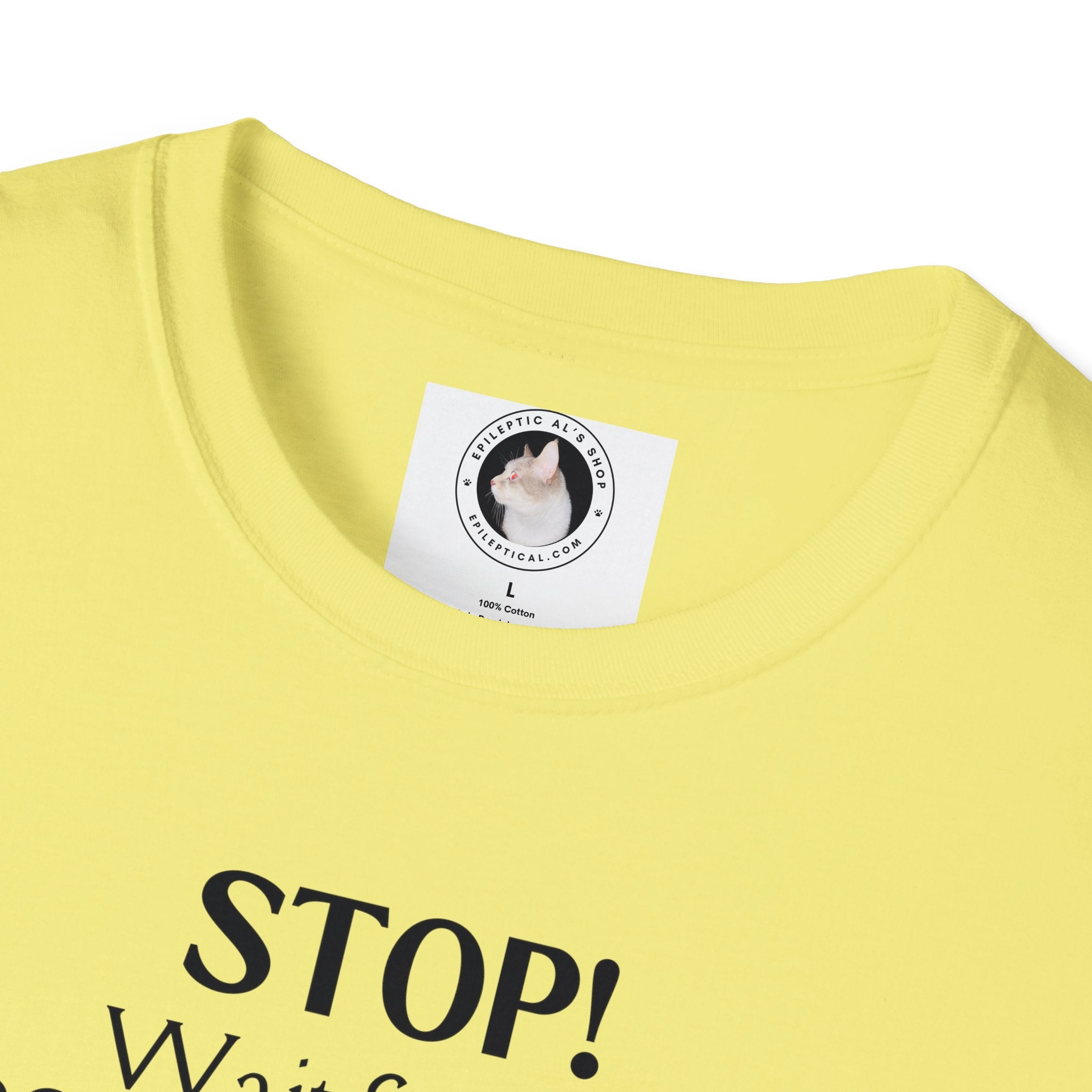 Common Sense Unisex Softstyle T - Shirt - T - Shirt - Epileptic Al’s Shop