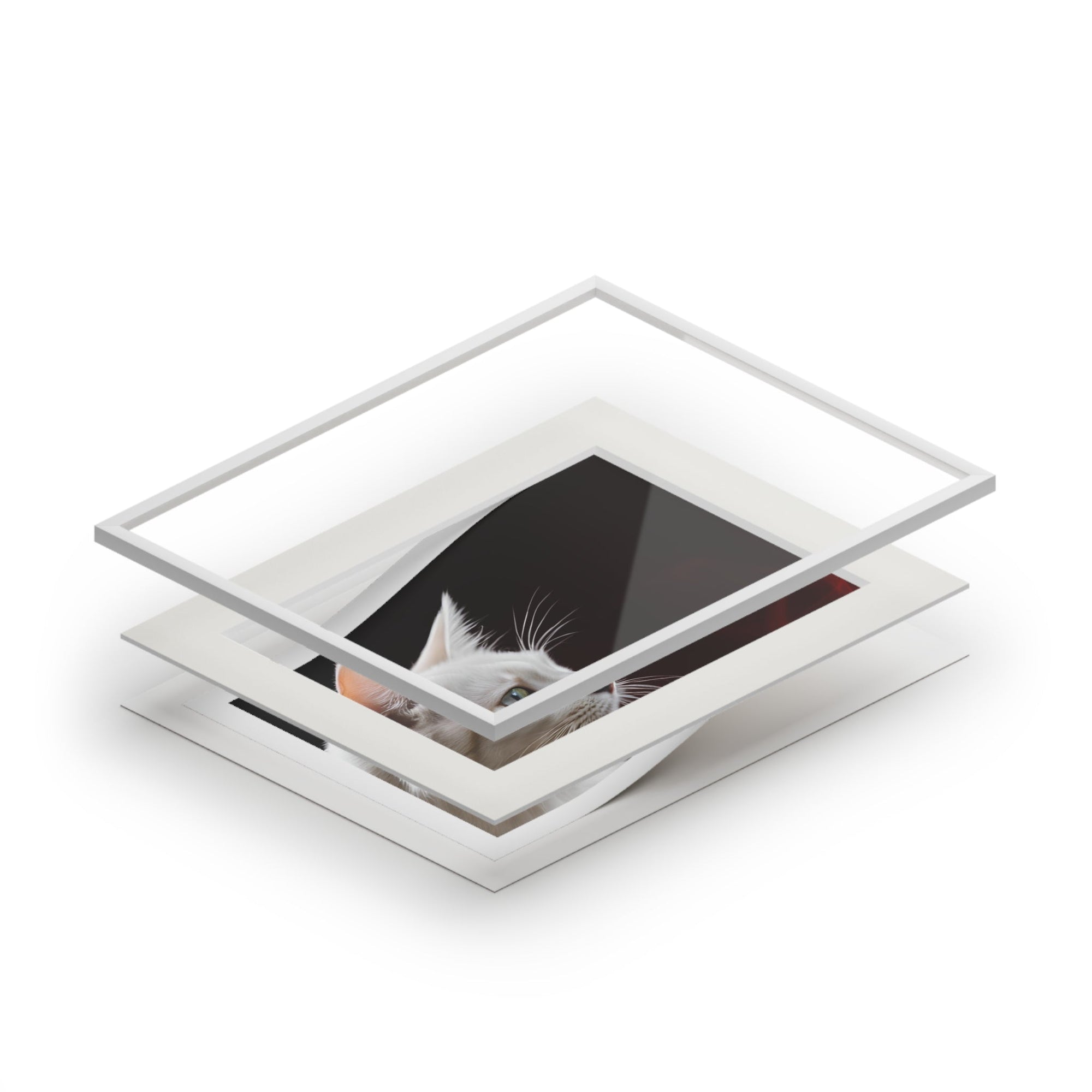 Wonderful White Cat Fine Art Print with Passepartout Frame Printify